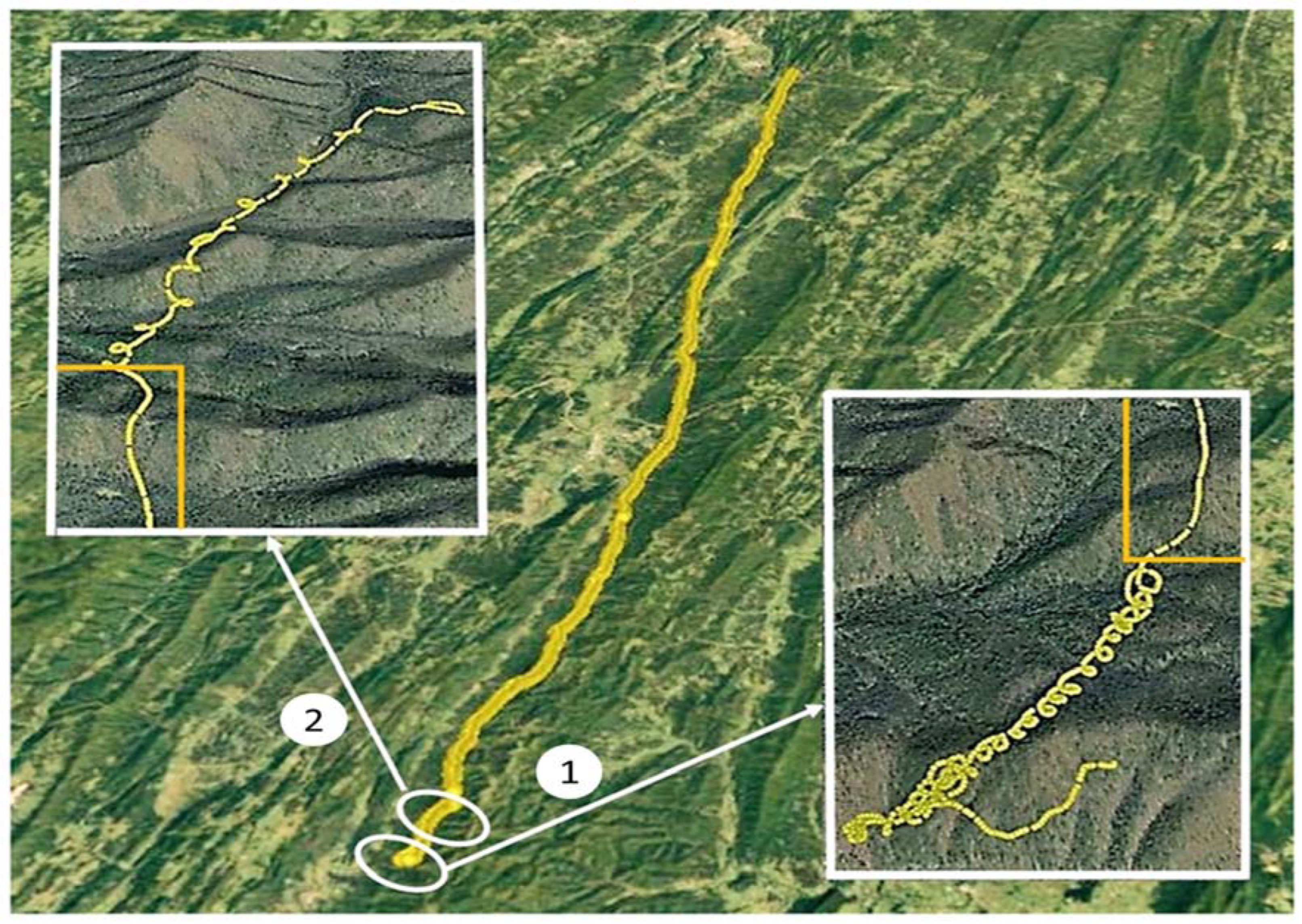 Animals 12 01470 g001