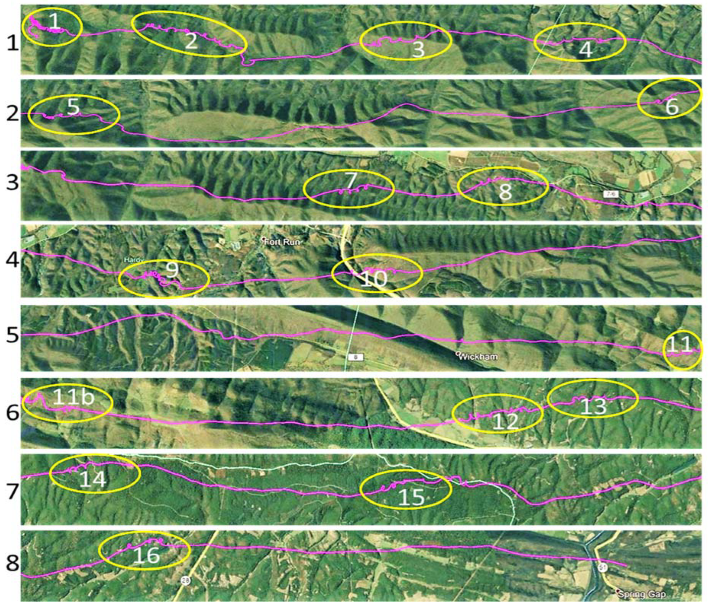 Animals 12 01470 g002