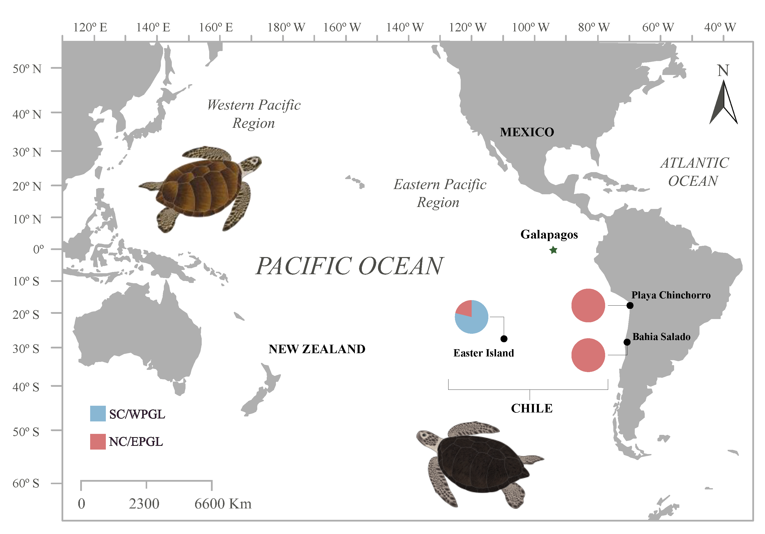 Animals 12 01473 g001