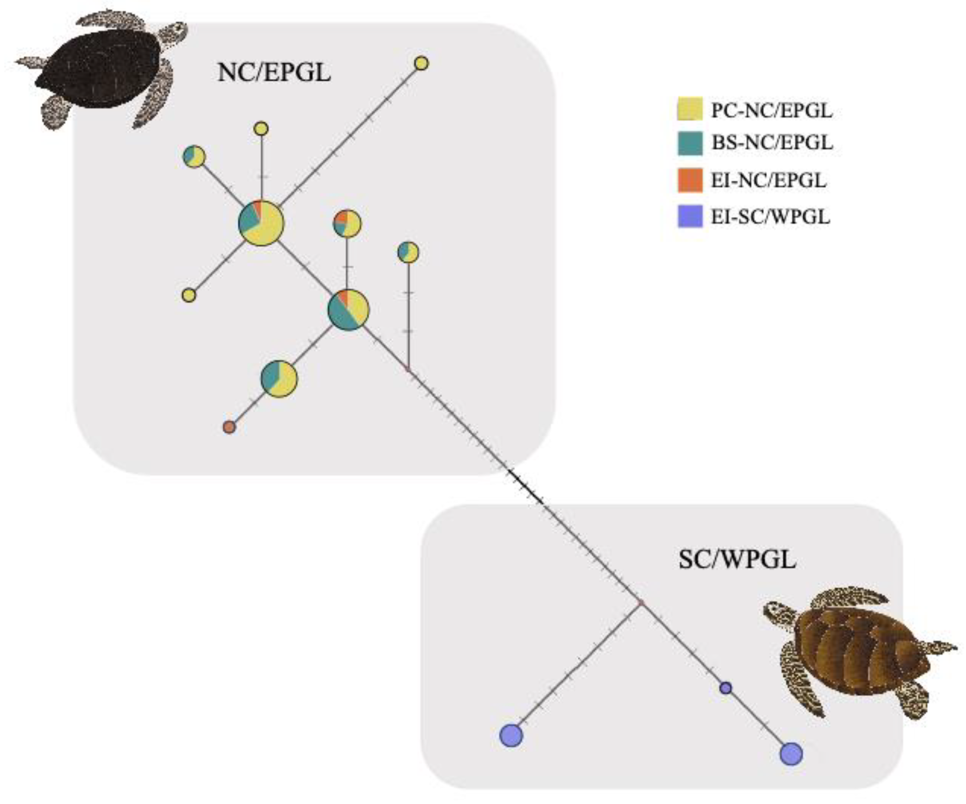 Animals 12 01473 g005