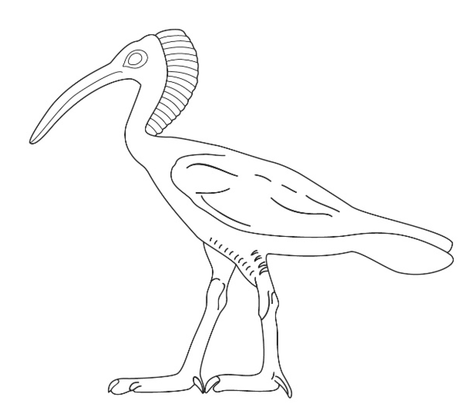 Animals 12 01569 g002