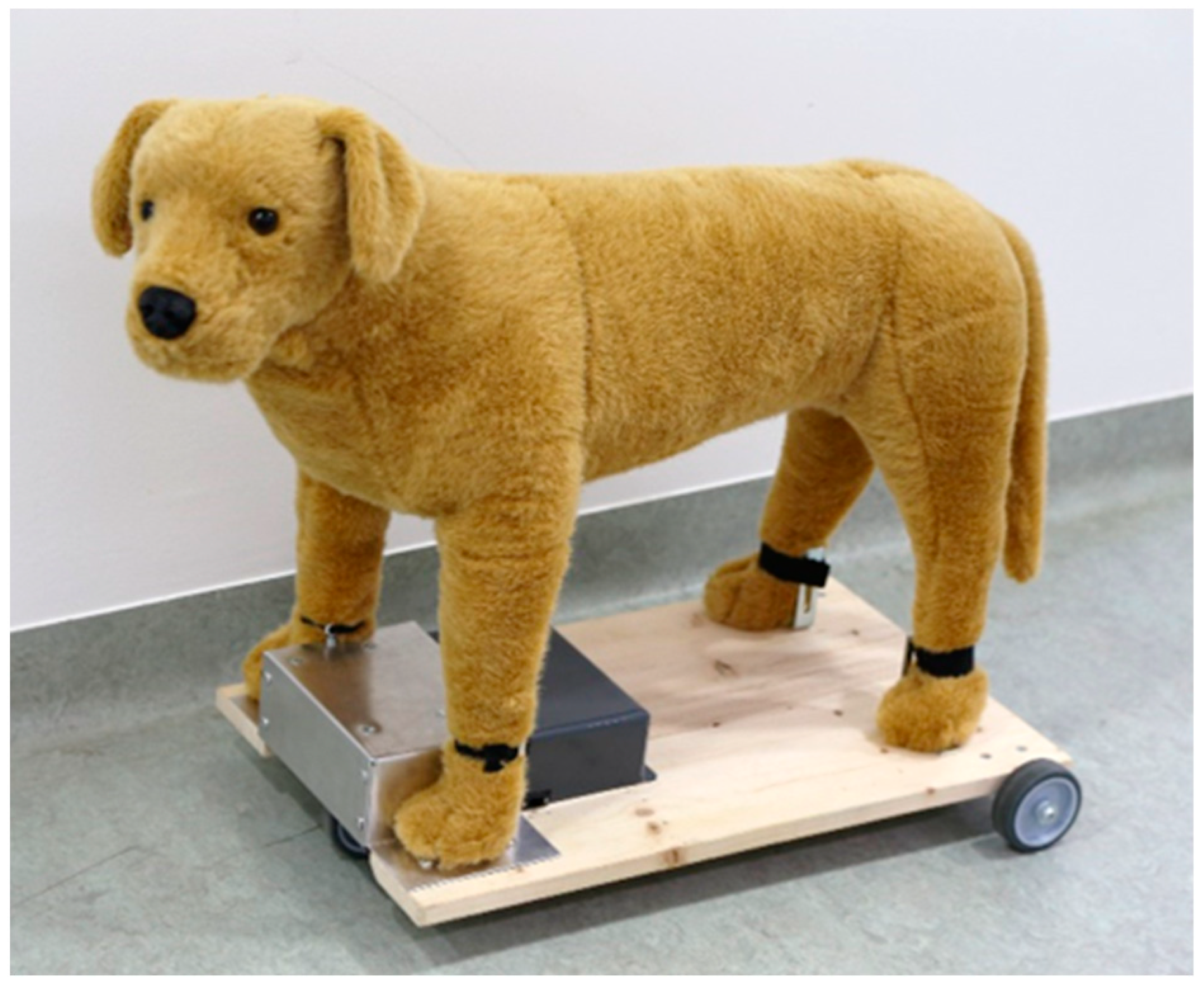 Animals 12 01574 g001