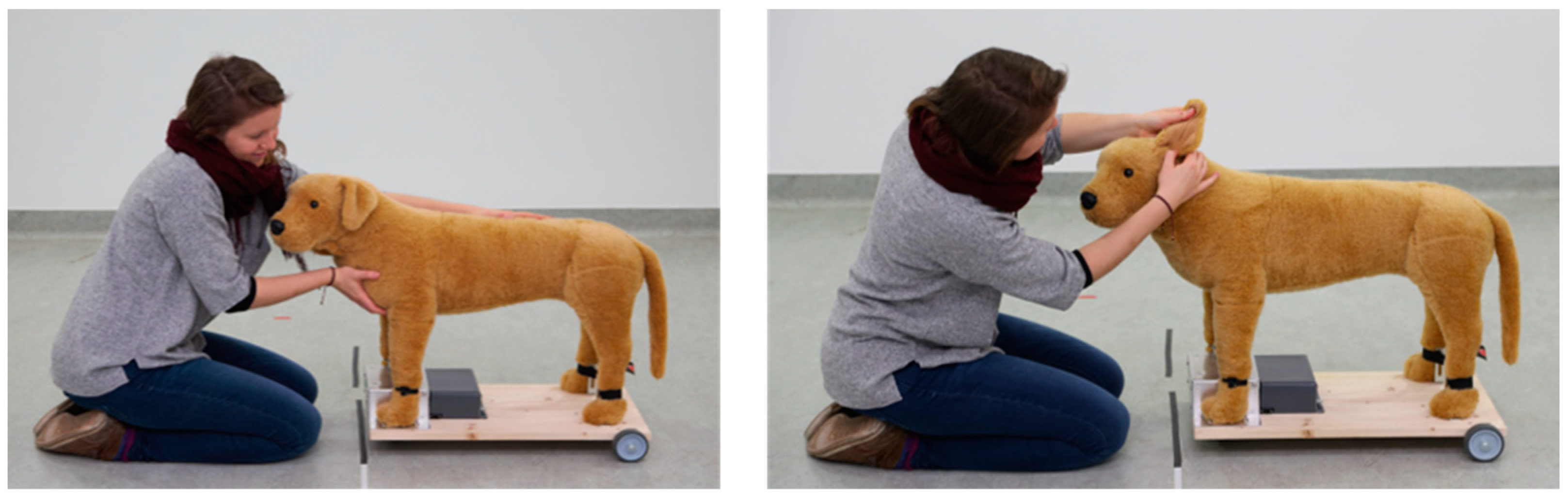 Animals 12 01574 g002