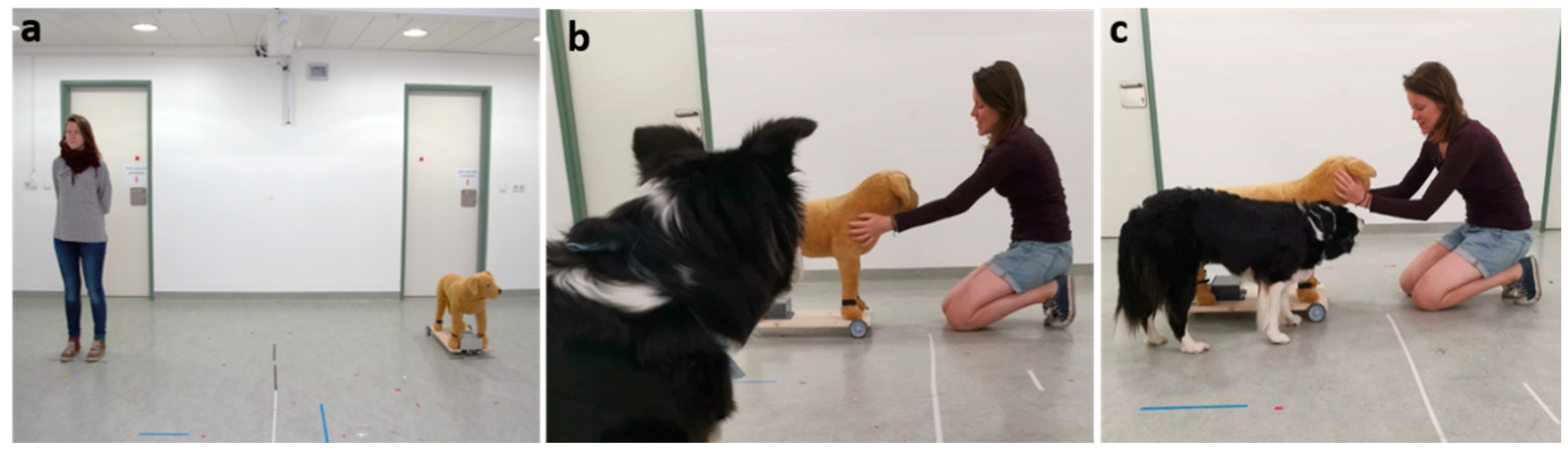 Animals 12 01574 g003