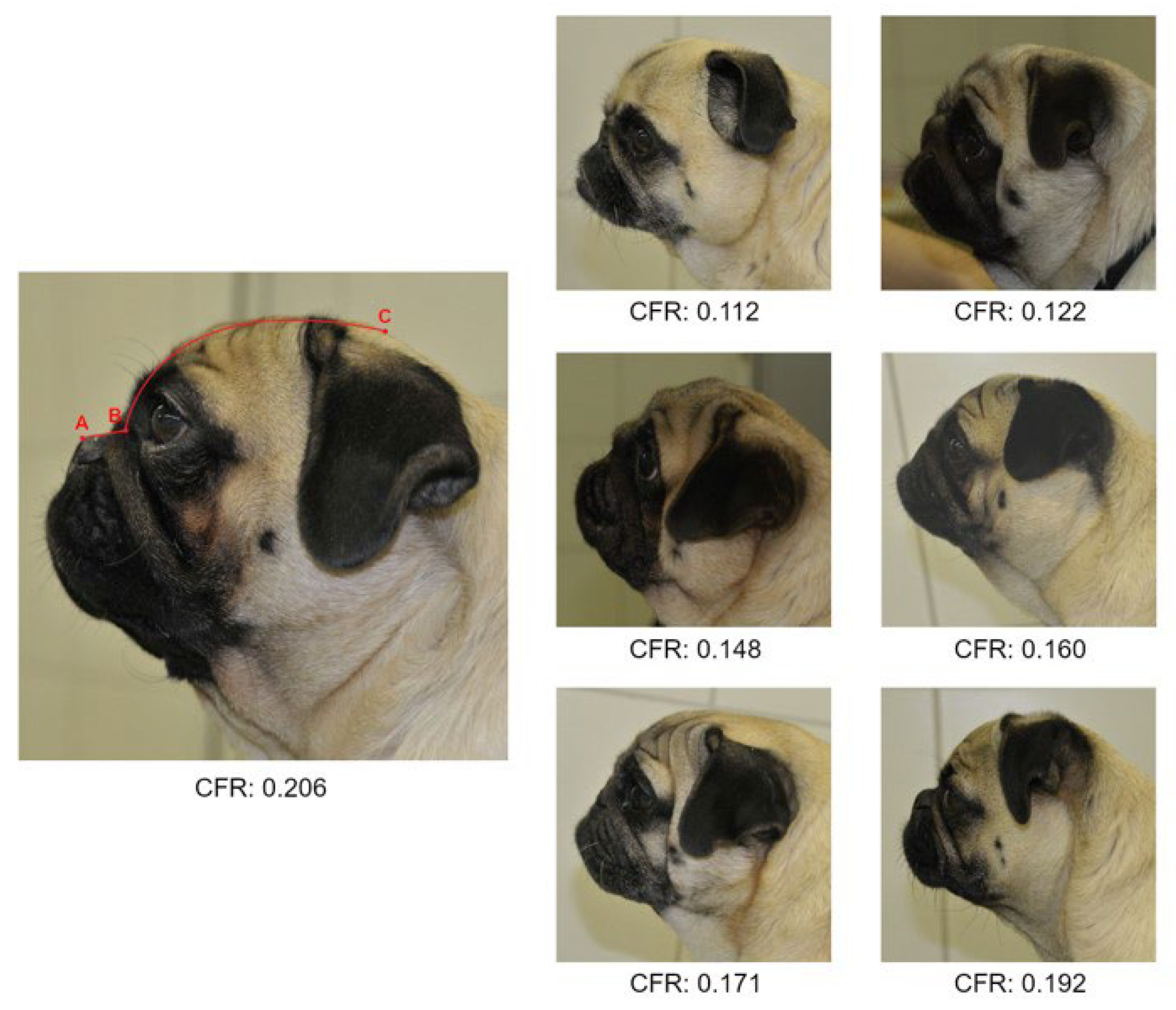 Animals 12 01585 g004