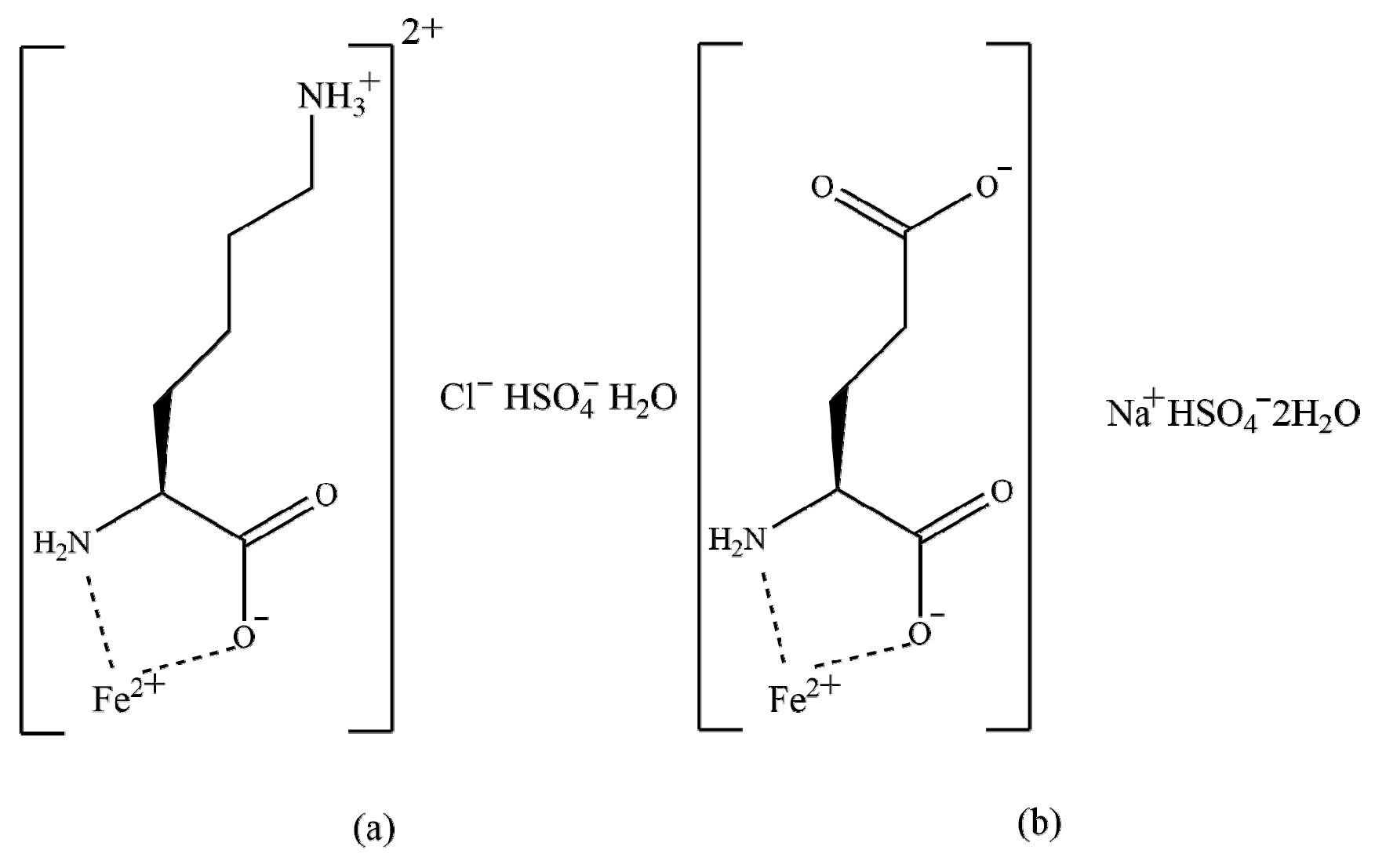 Animals 12 01604 g001