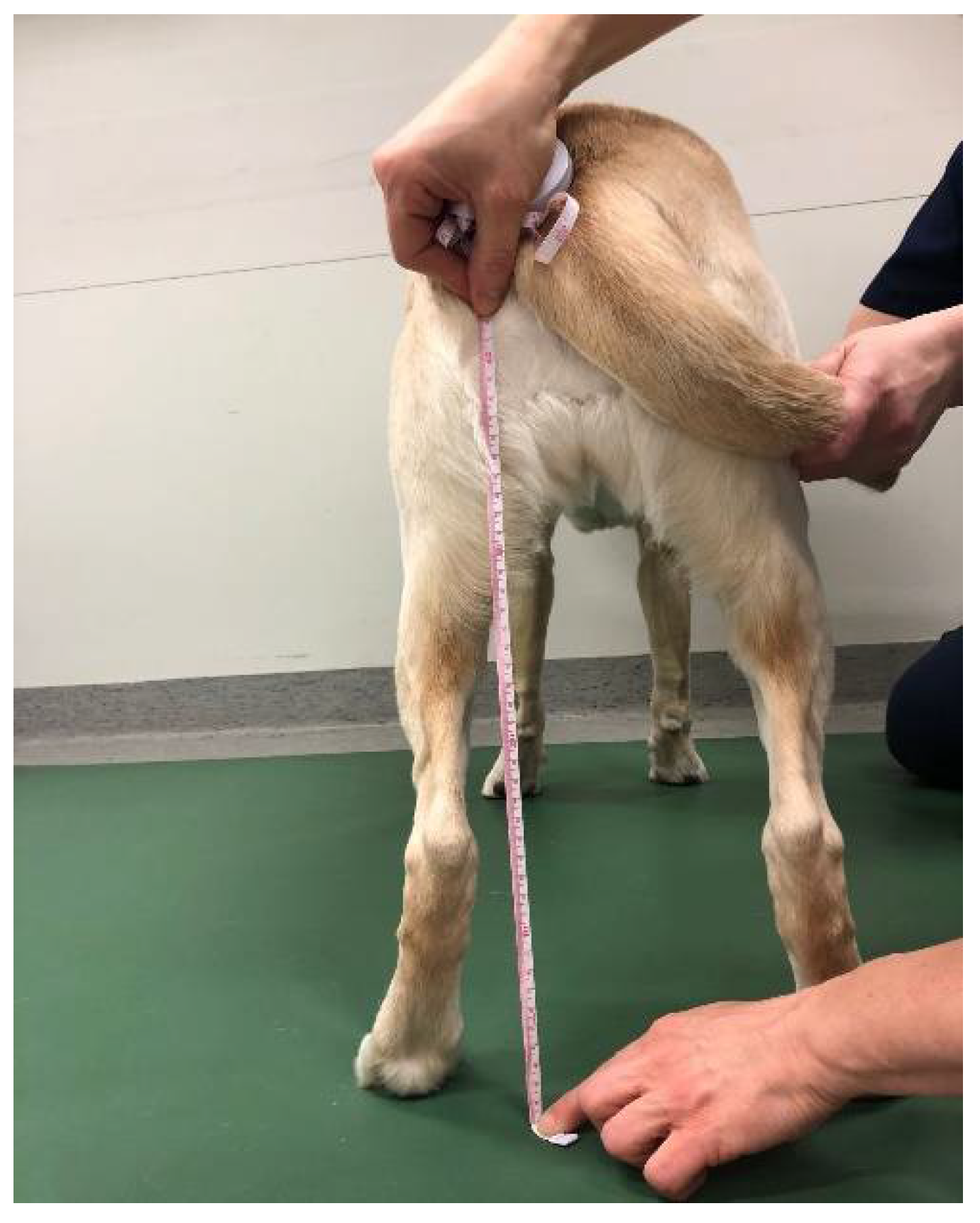 Animals 12 01631 g001 Animals 12 01631 g001