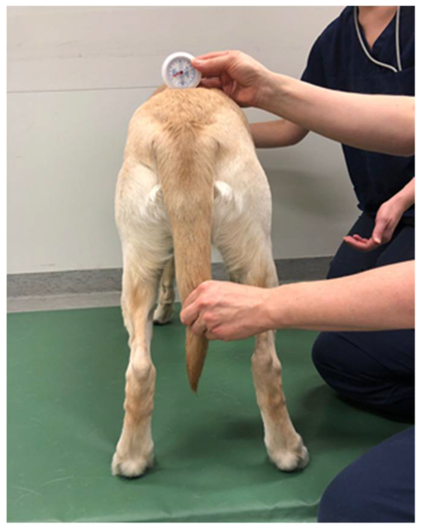 Animals 12 01631 g002 Animals 12 01631 g002