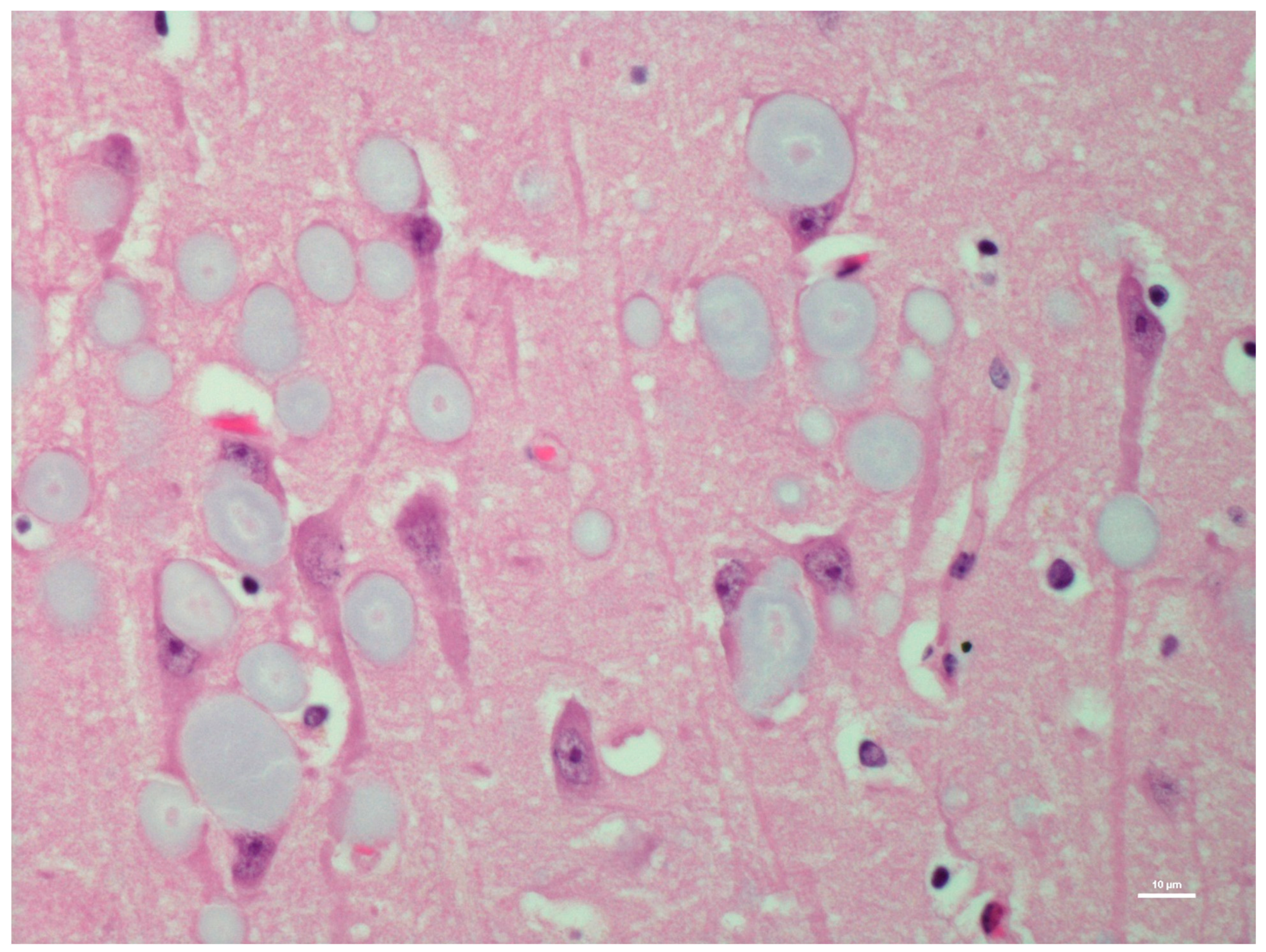 Animals 12 01633 g001