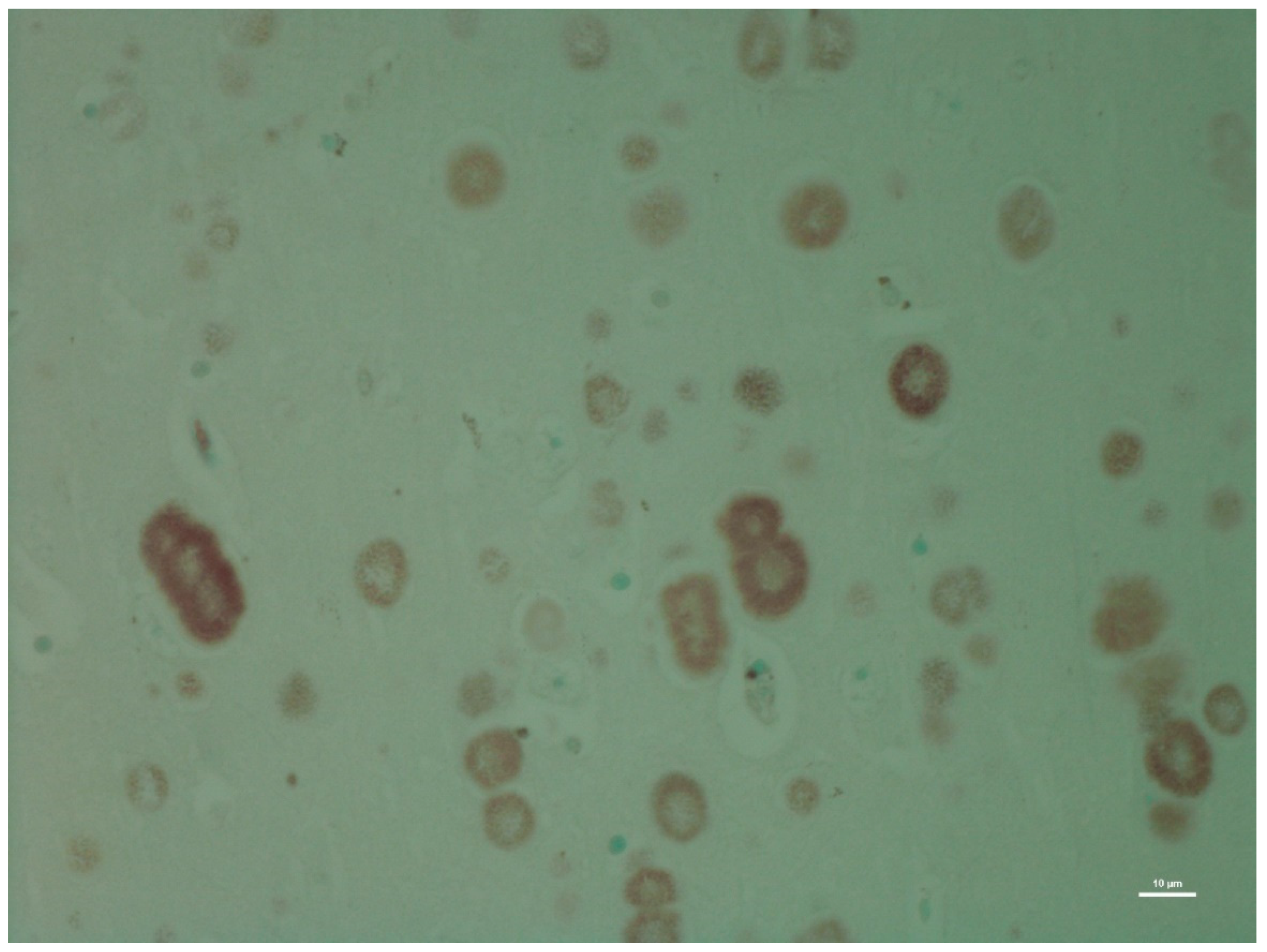 Animals 12 01633 g003