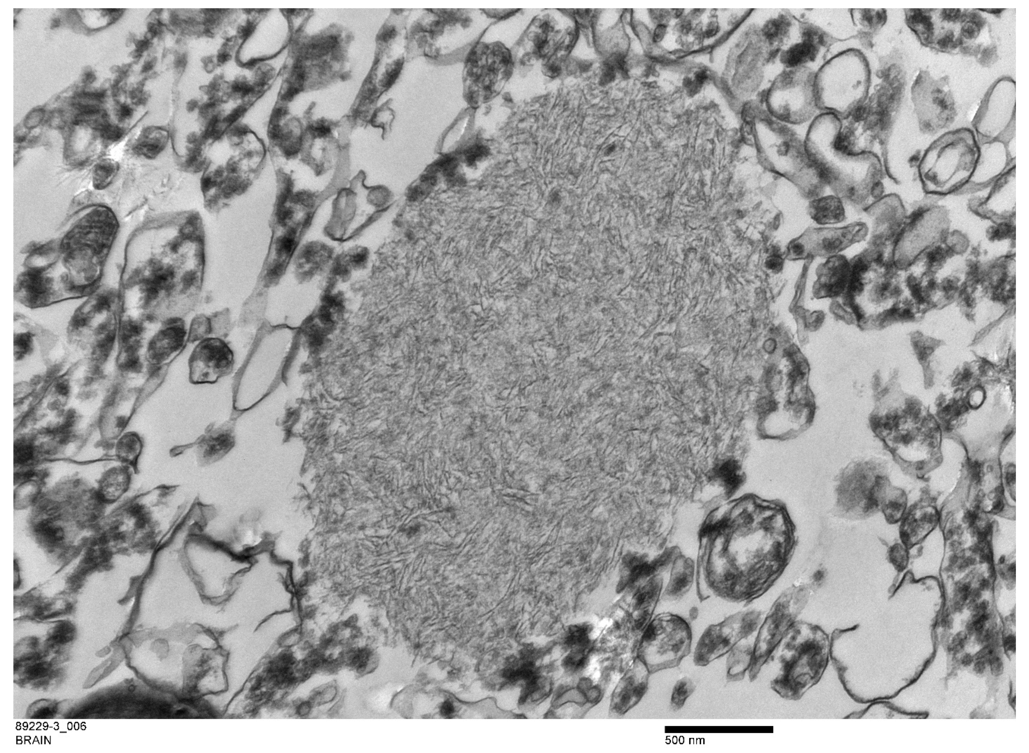 Animals 12 01633 g007