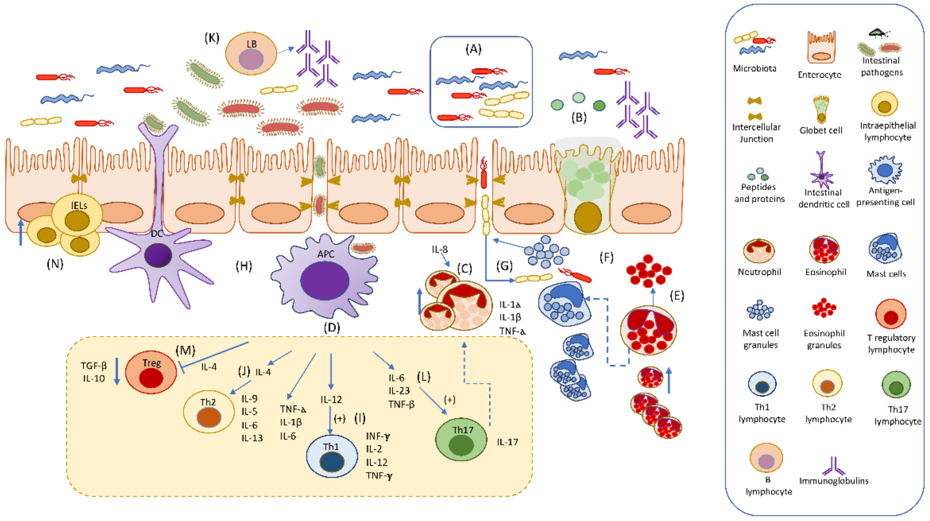 Animals 12 01645 g001 Animals 12 01645 g001
