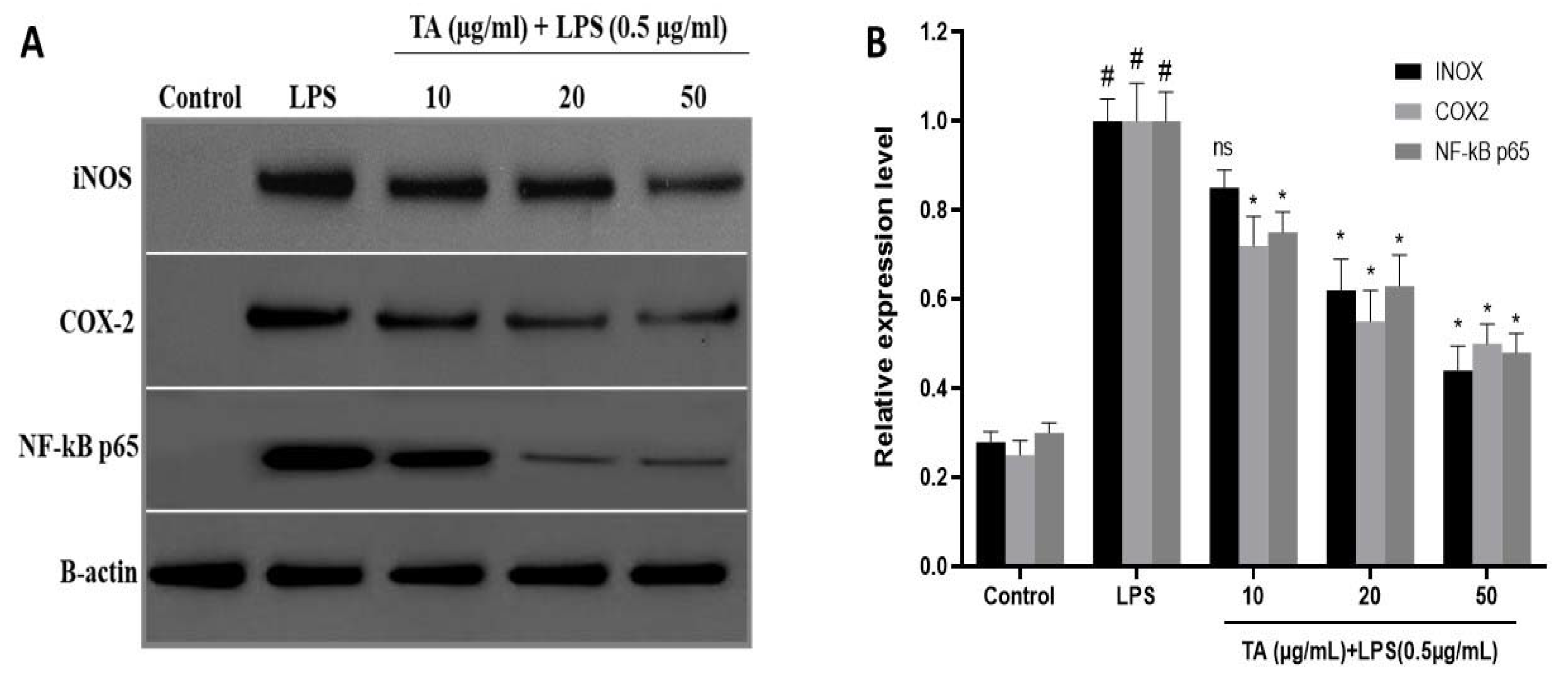 Animals 12 01646 g004