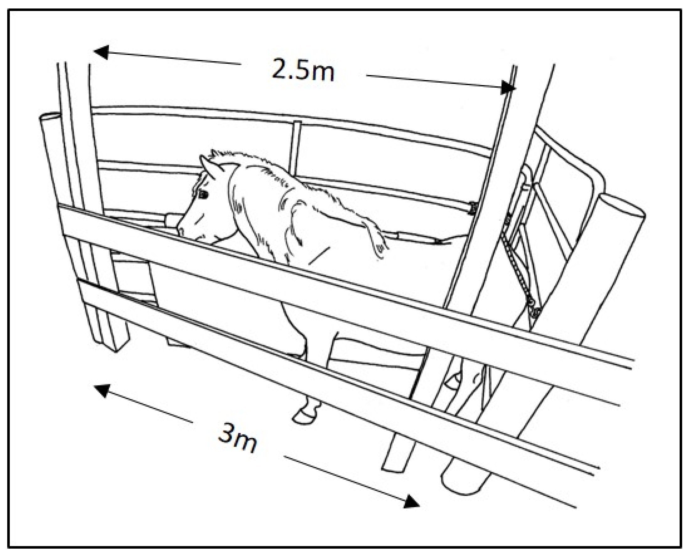 Animals 12 01659 g001