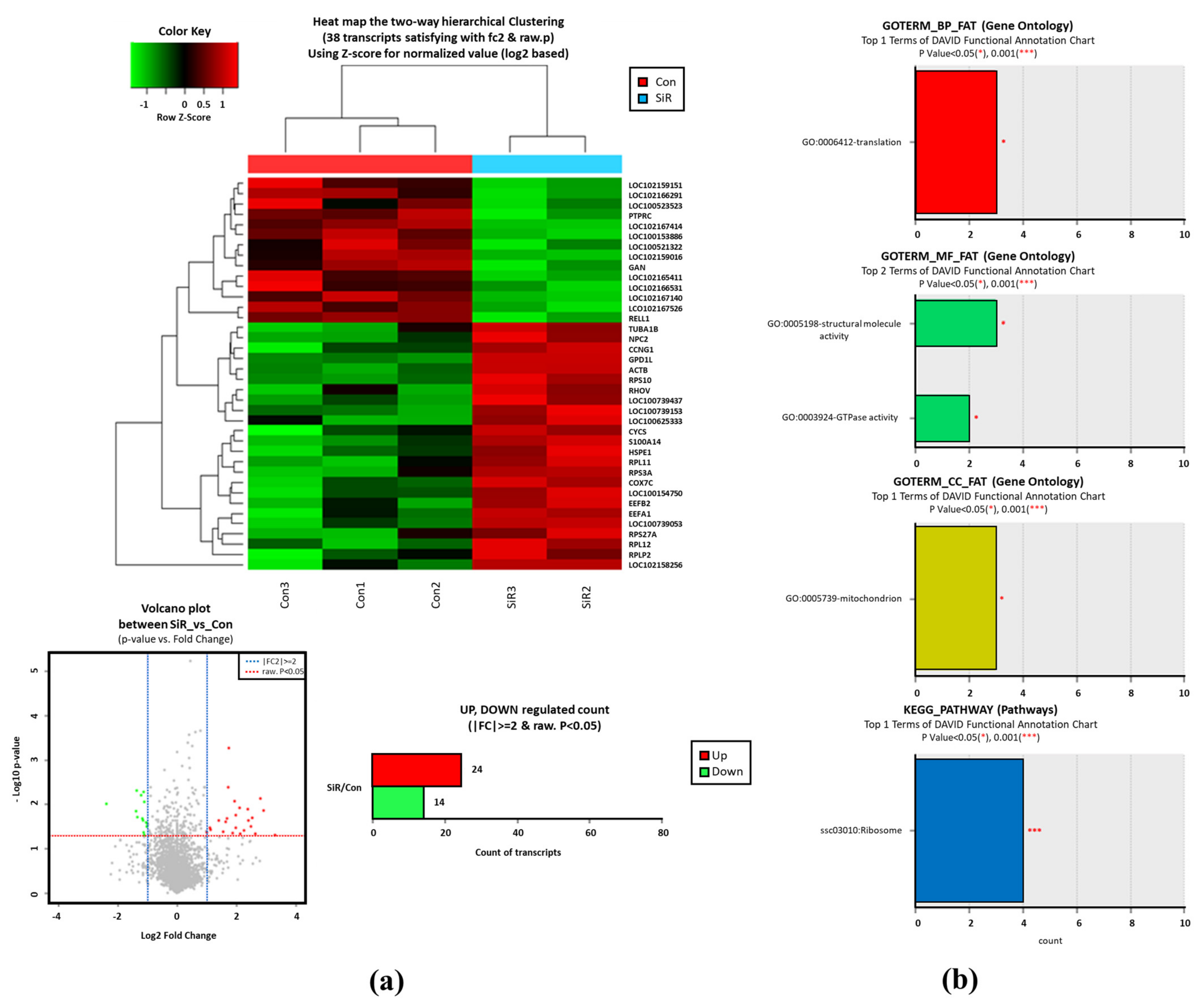 Animals 12 01662 g002