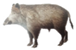Animals 12 01666 i001