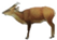 Animals 12 01666 i004