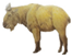 Animals 12 01666 i005