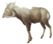 Animals 12 01666 i006