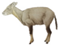 Animals 12 01666 i007