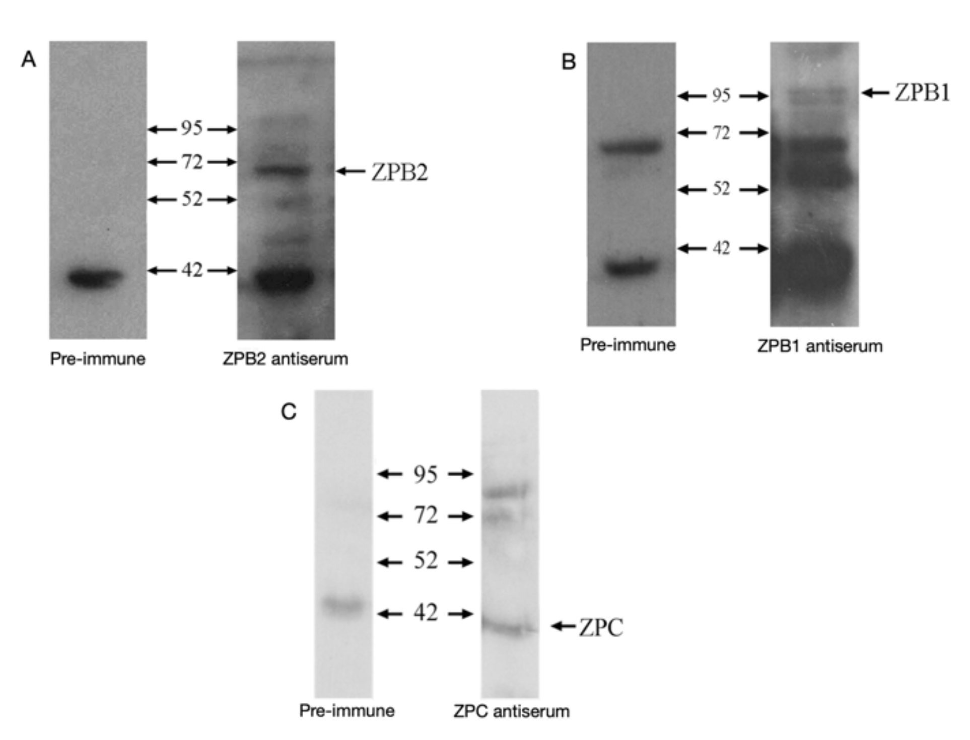 Animals 12 01672 g001
