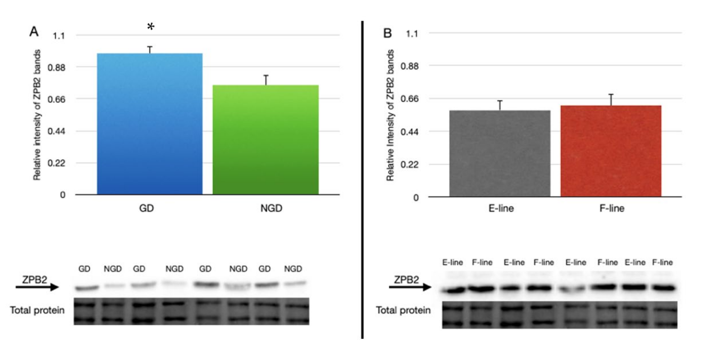 Animals 12 01672 g002