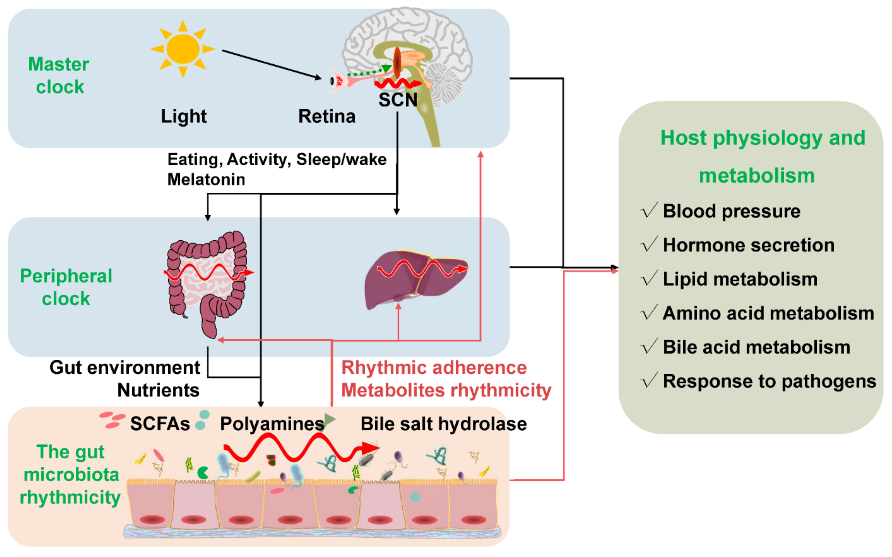 Animals 12 01677 g002