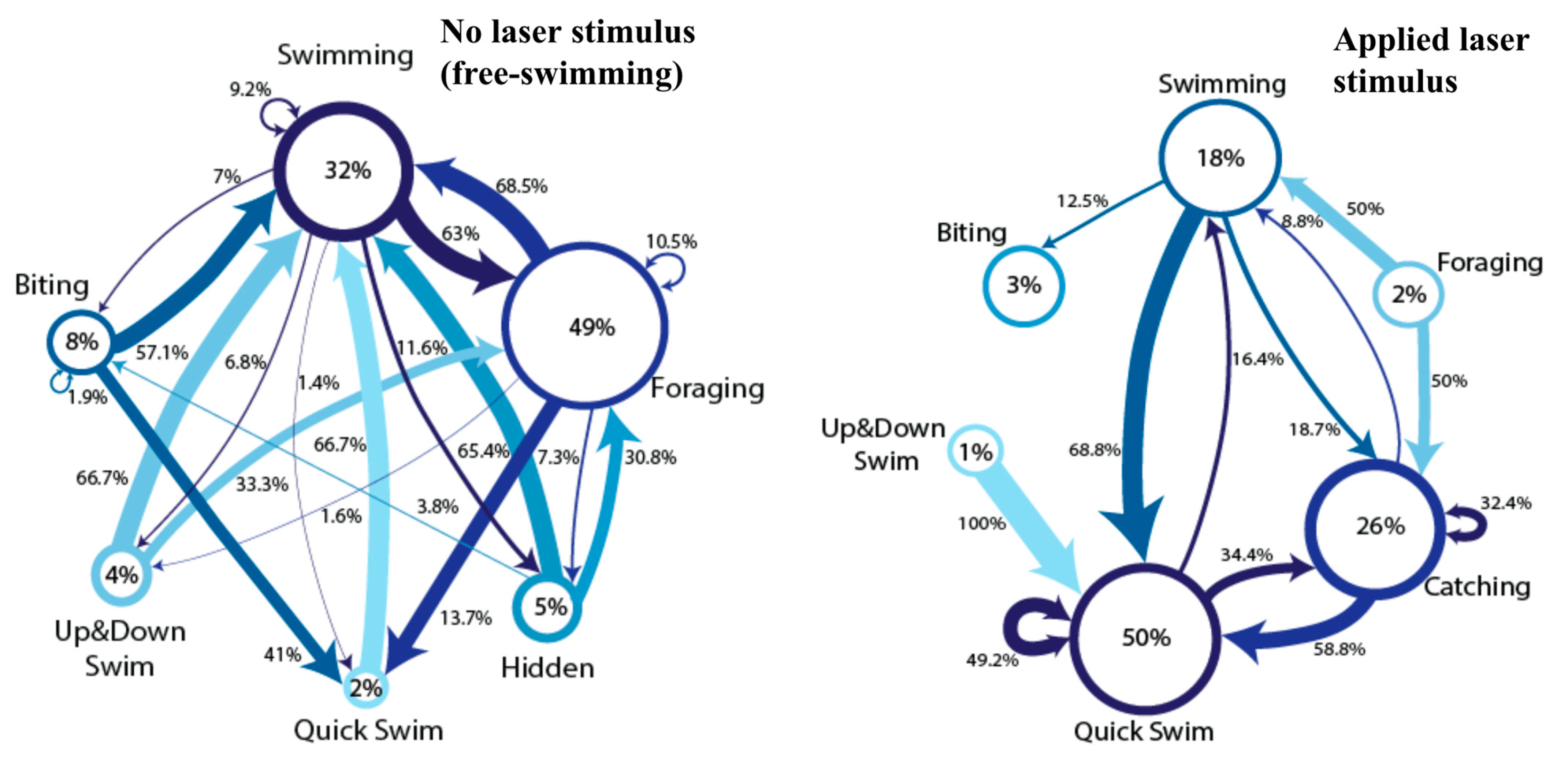 Animals 12 01684 g002