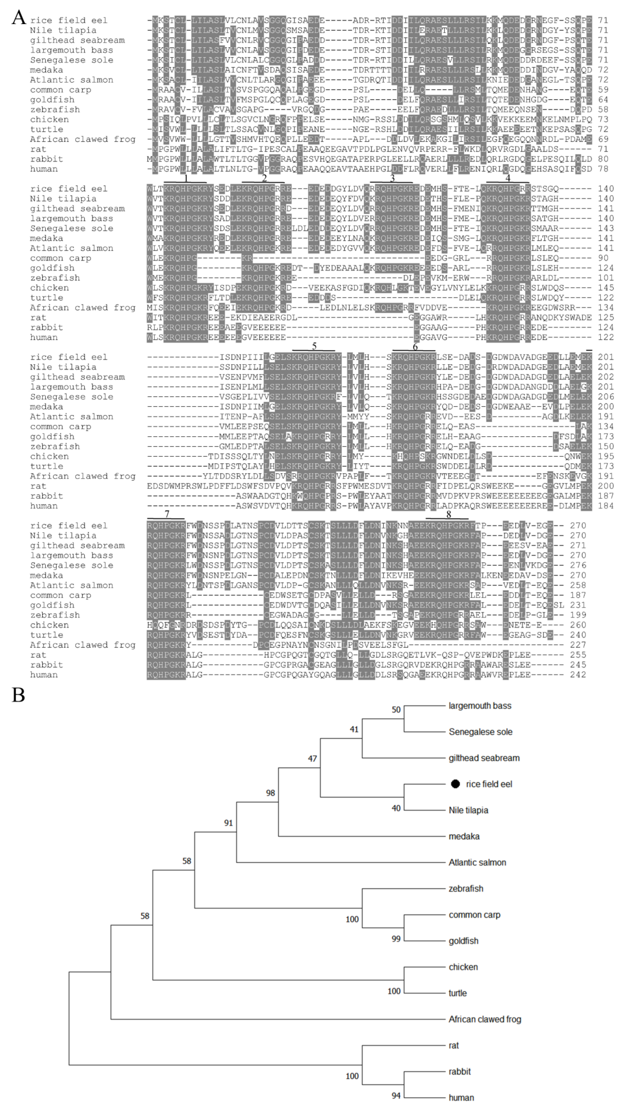 Animals 12 01691 g002