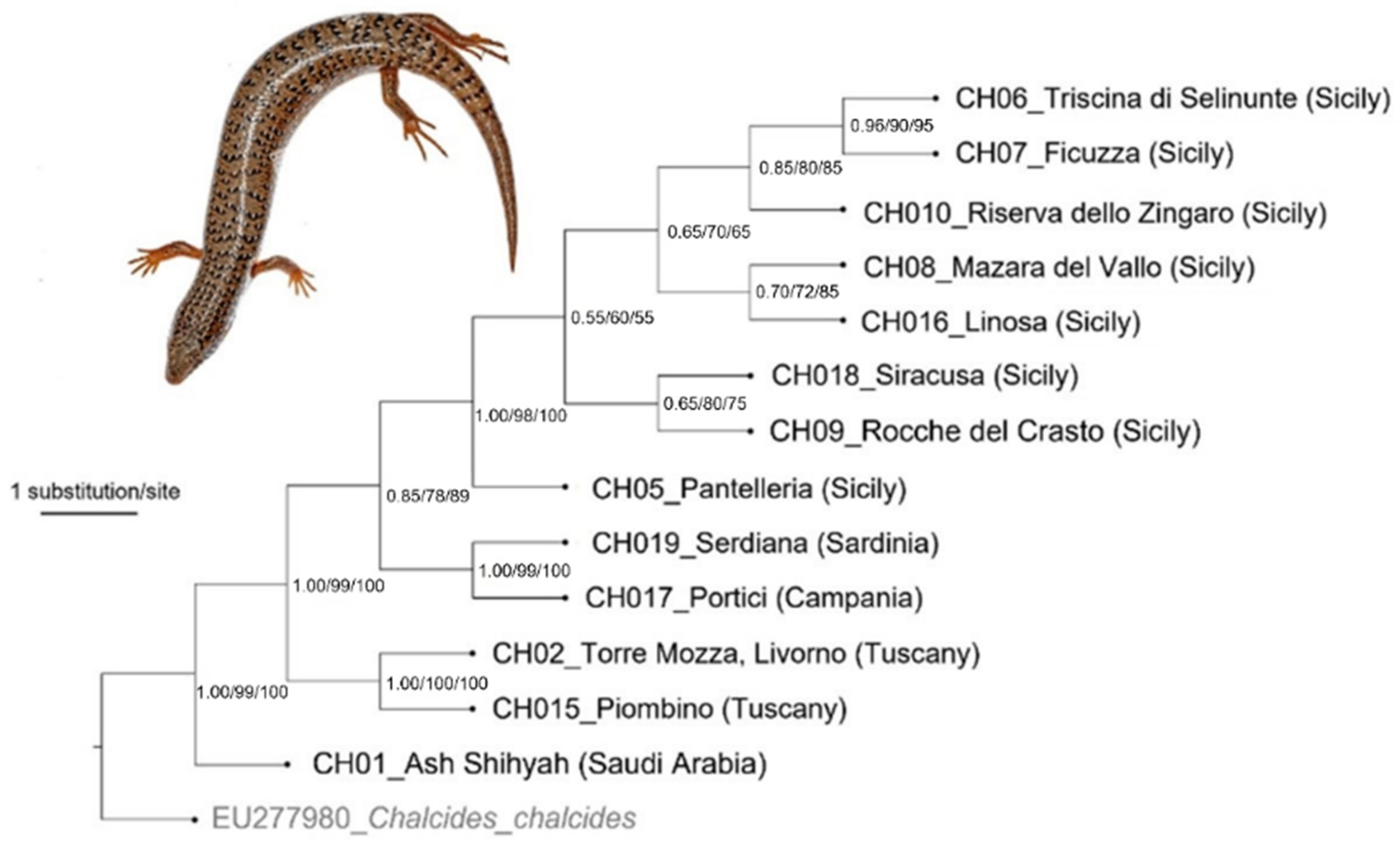 Animals 12 01709 g003