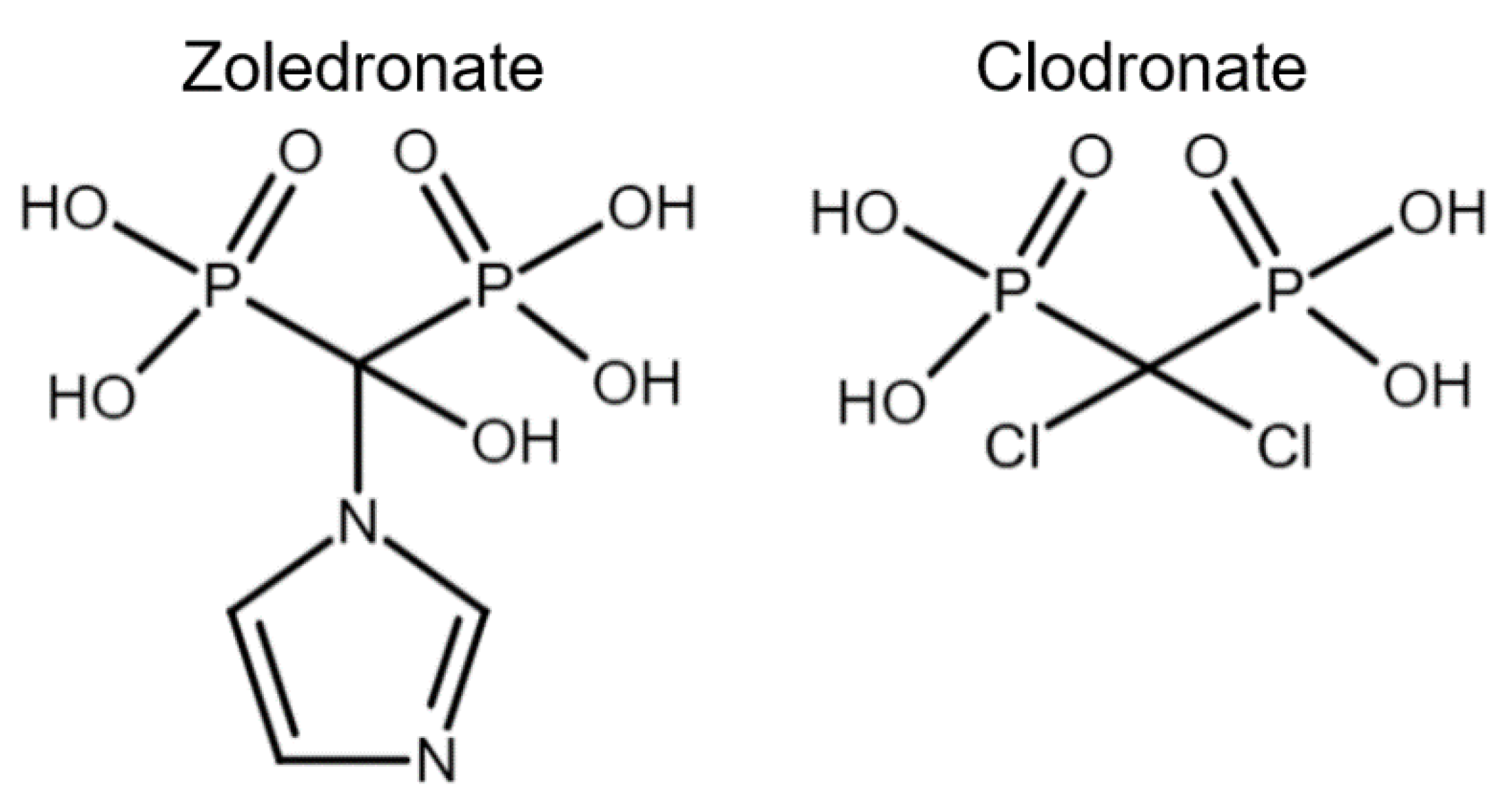 Animals 12 01722 g002