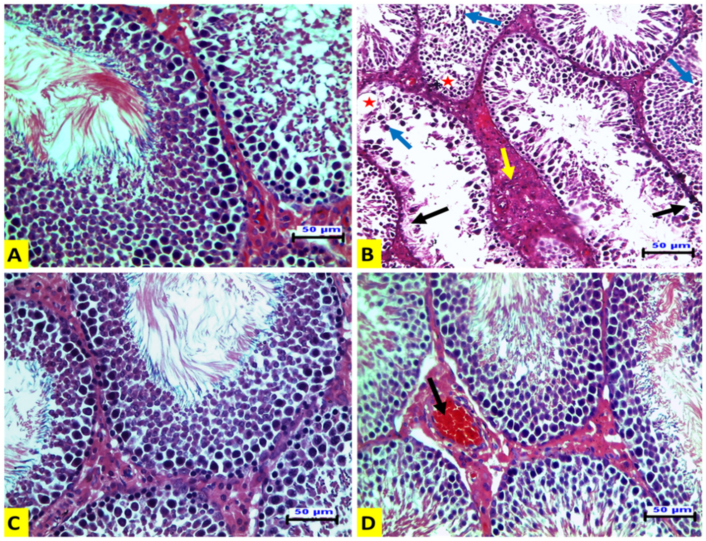 Animals 12 01723 g001