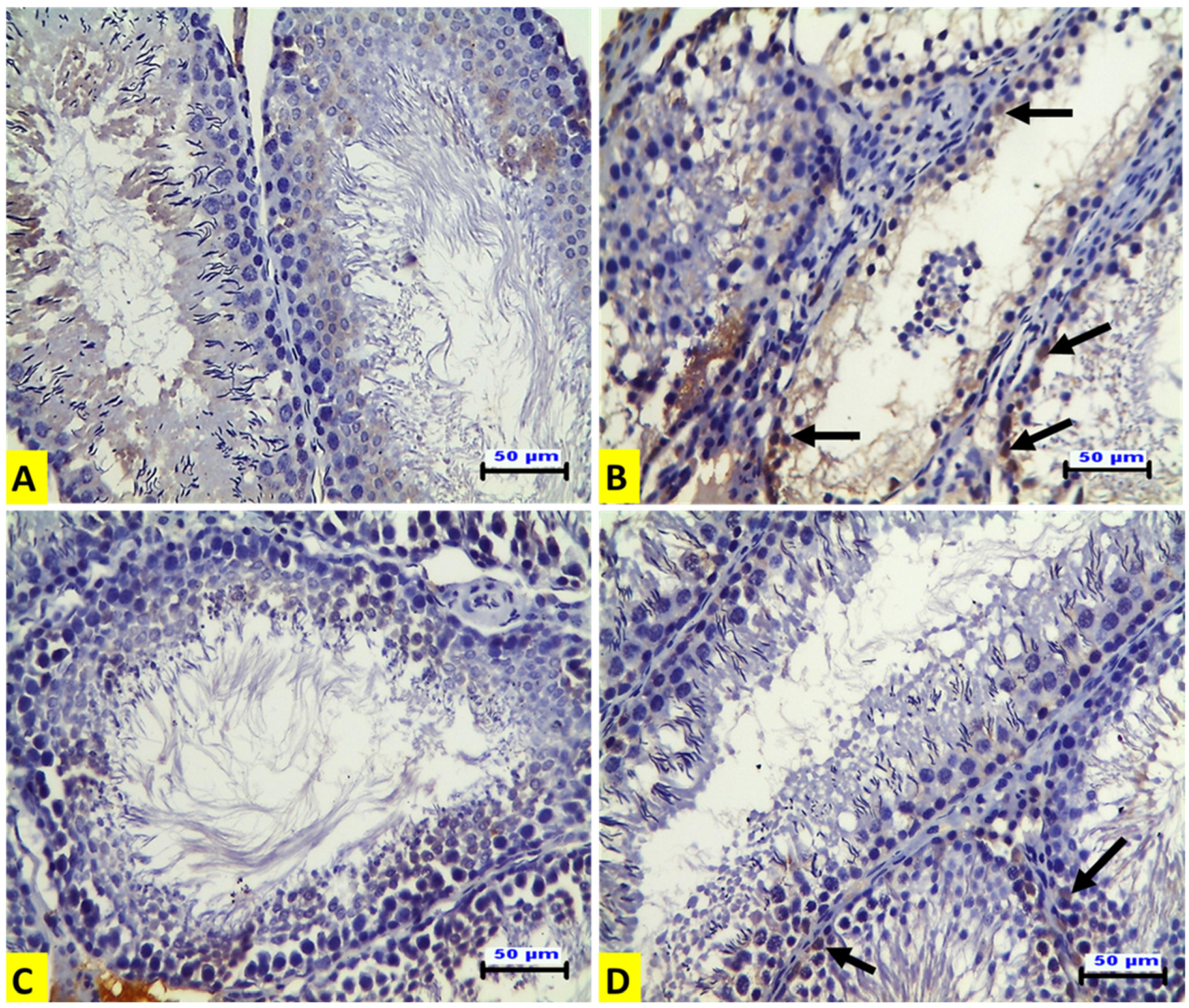 Animals 12 01723 g002