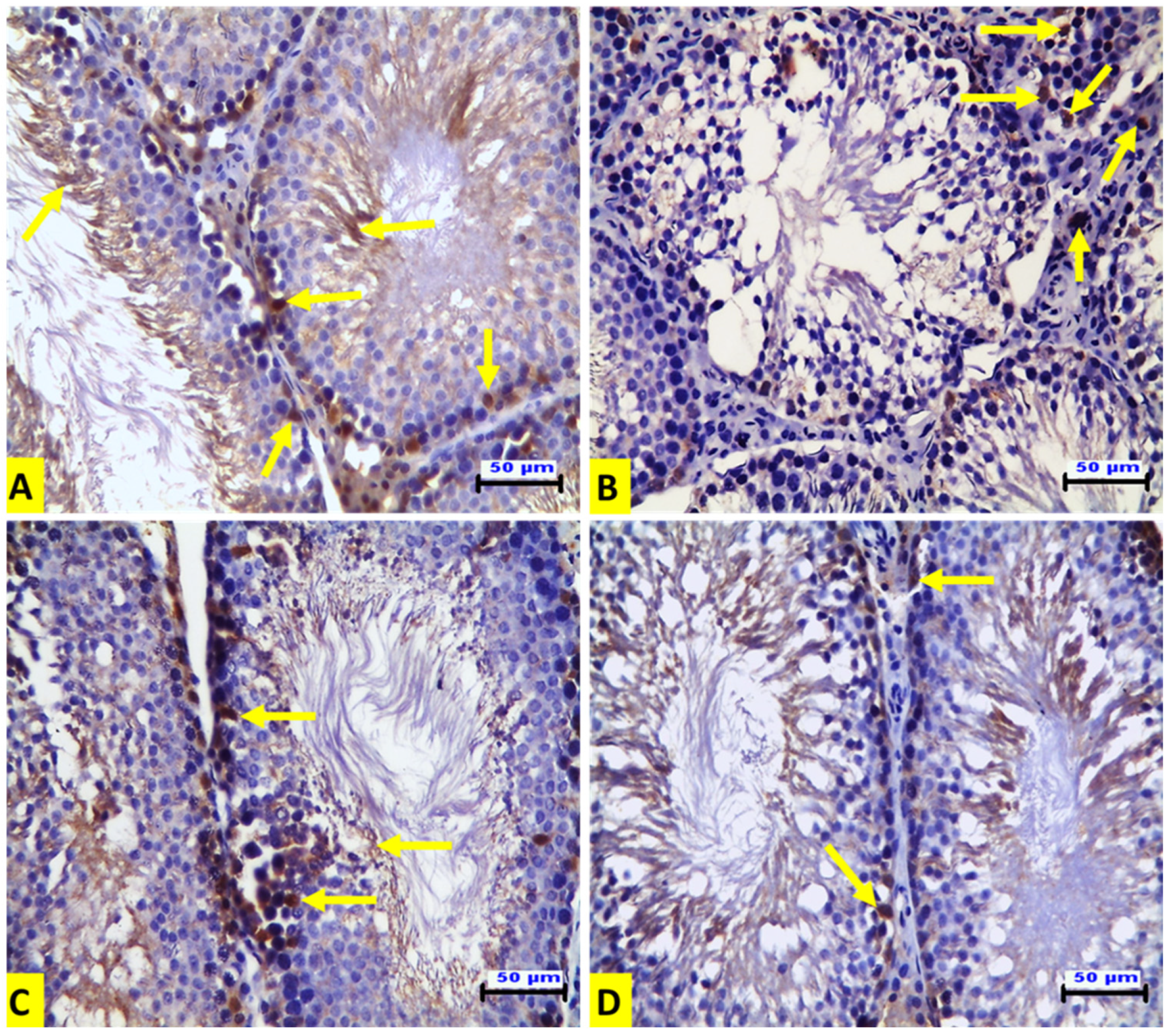 Animals 12 01723 g003