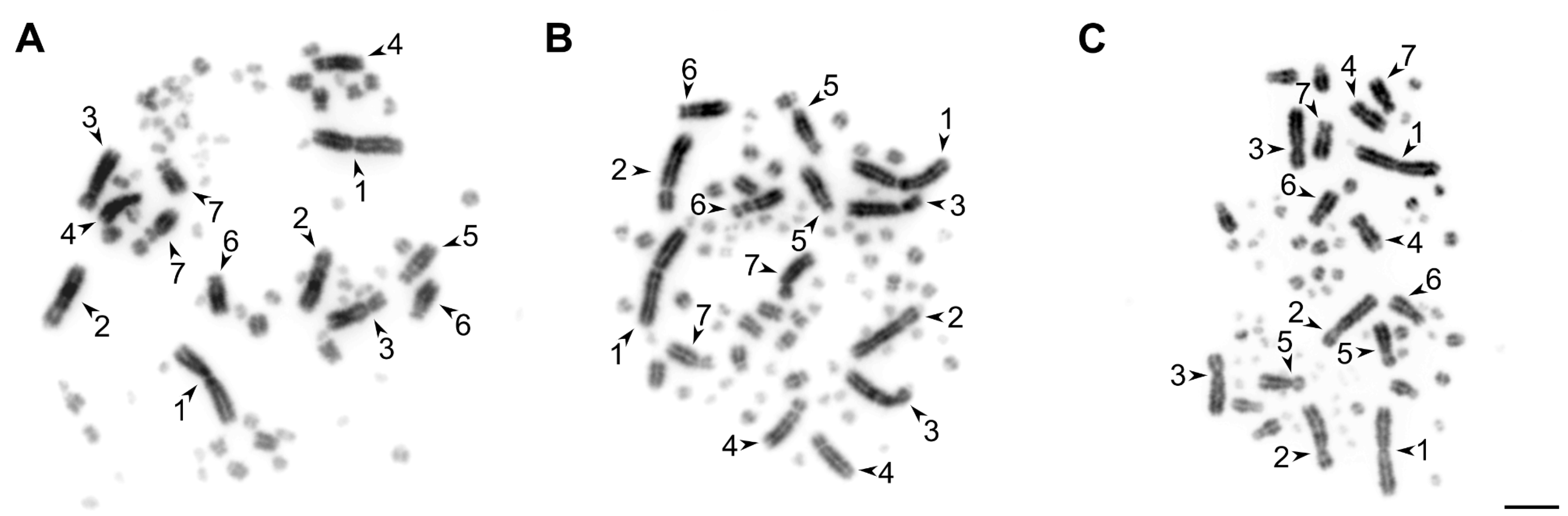 Animals 12 01724 g002 Animals 12 01724 g002