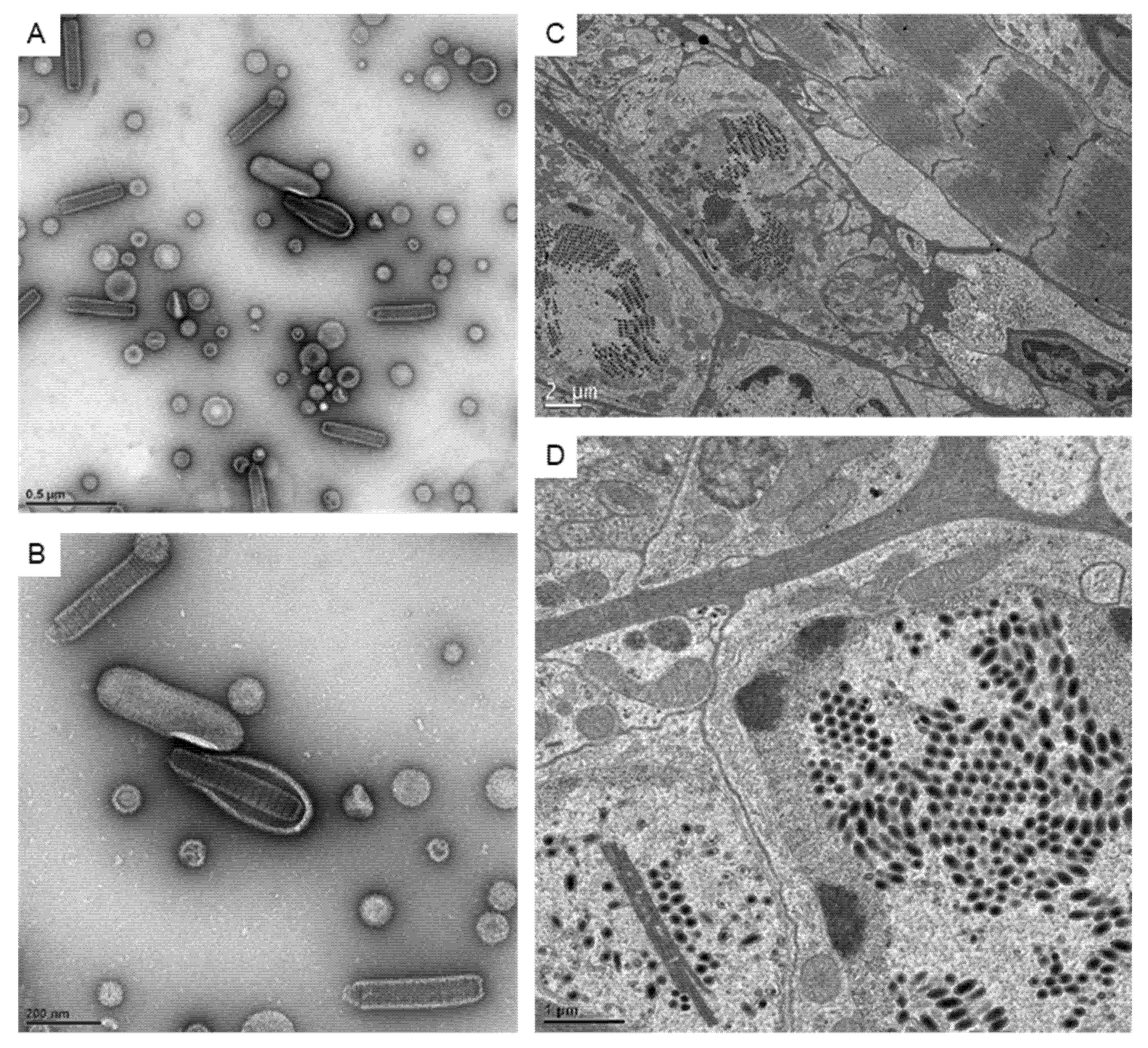 Animals 12 01730 g001