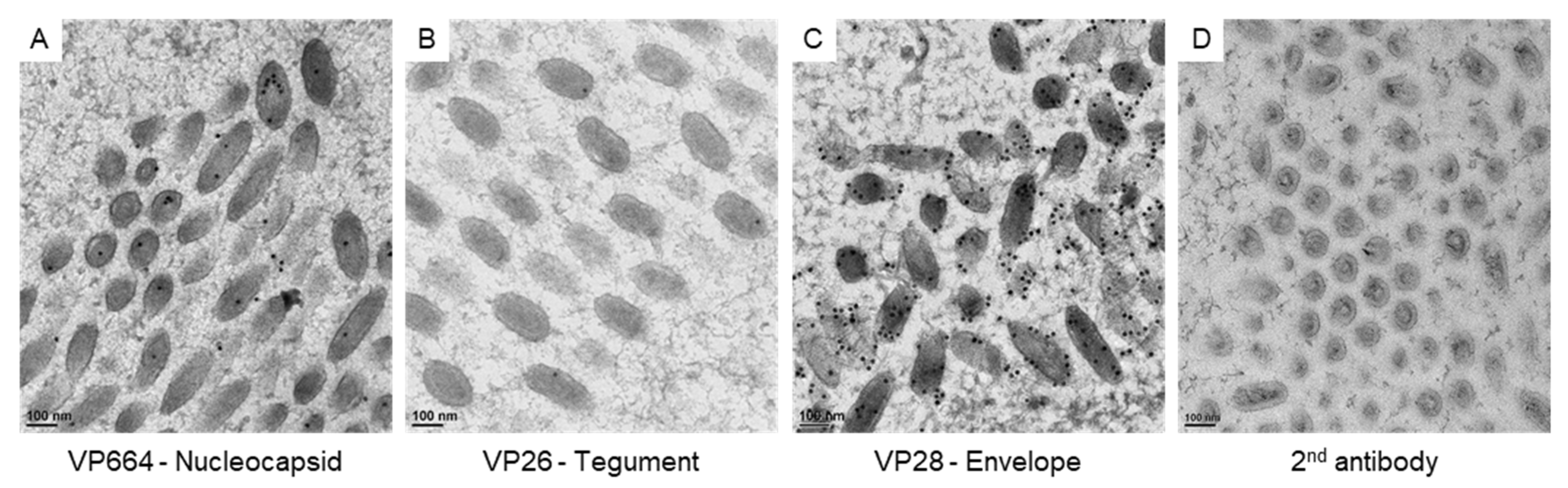 Animals 12 01730 g004