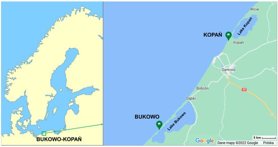 Animals 12 01732 g0a1 550