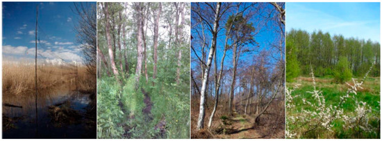 Animals 12 01732 g0a2 550