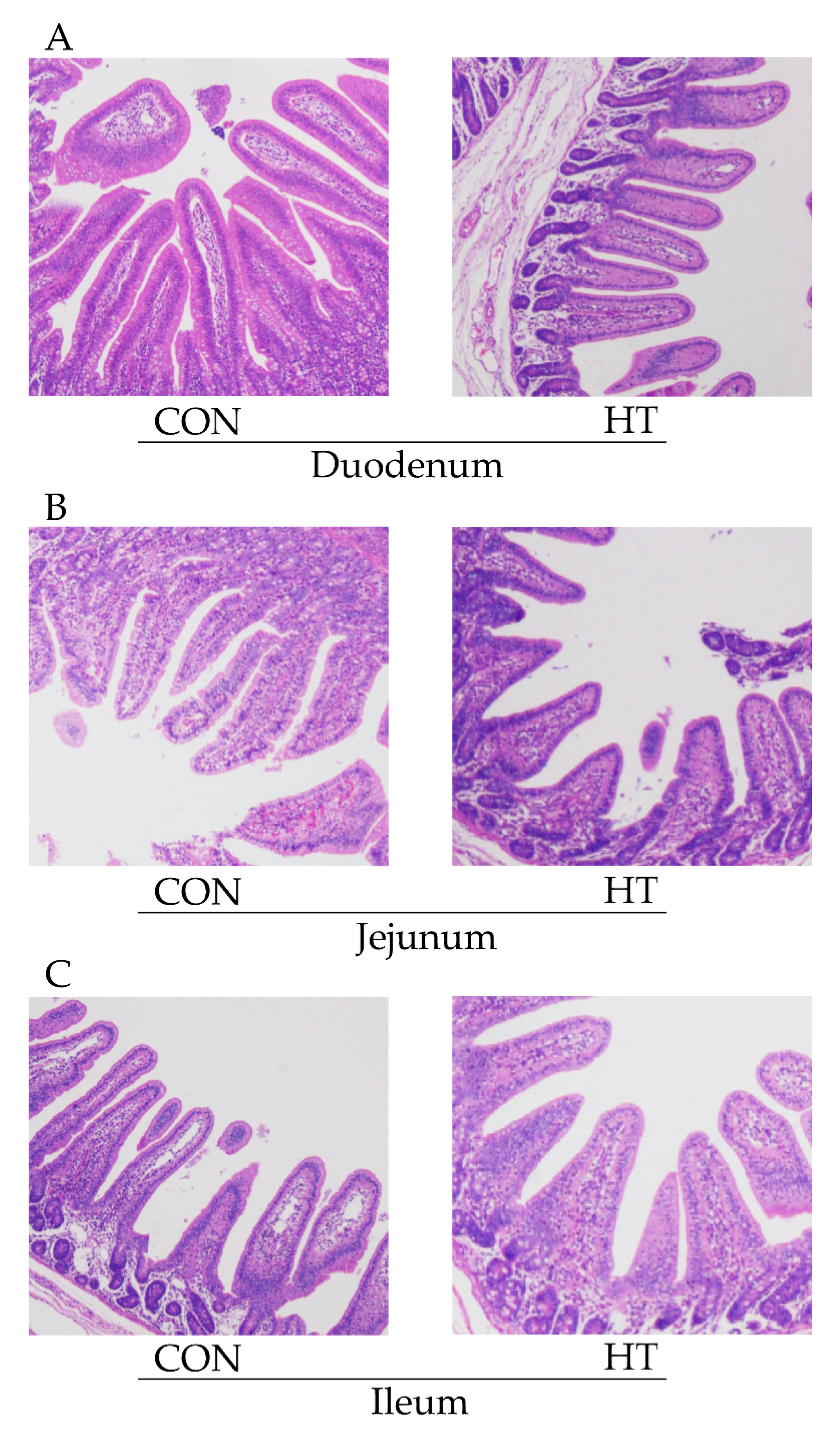 Animals 12 01743 g001