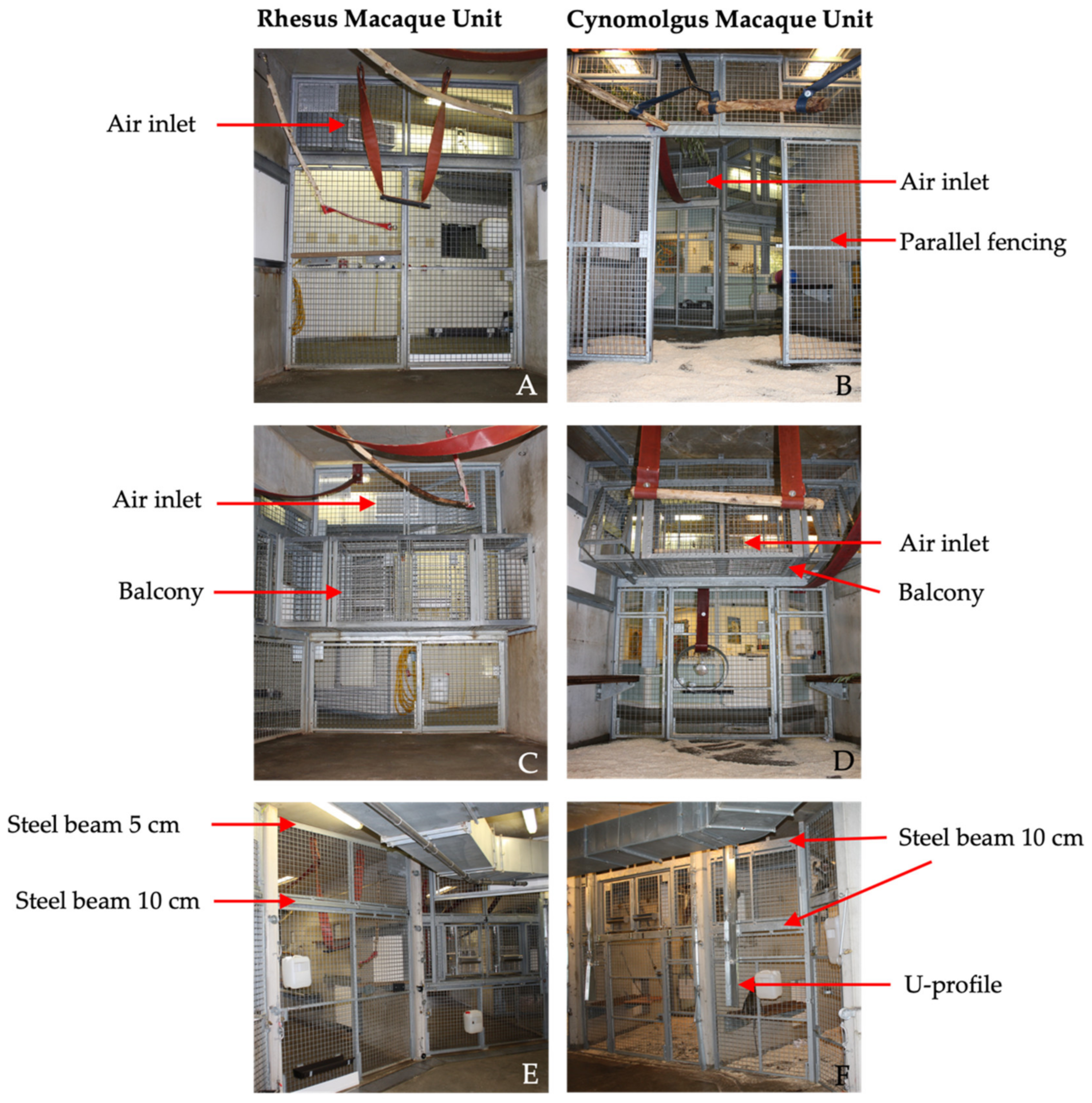 Animals 12 01750 g001