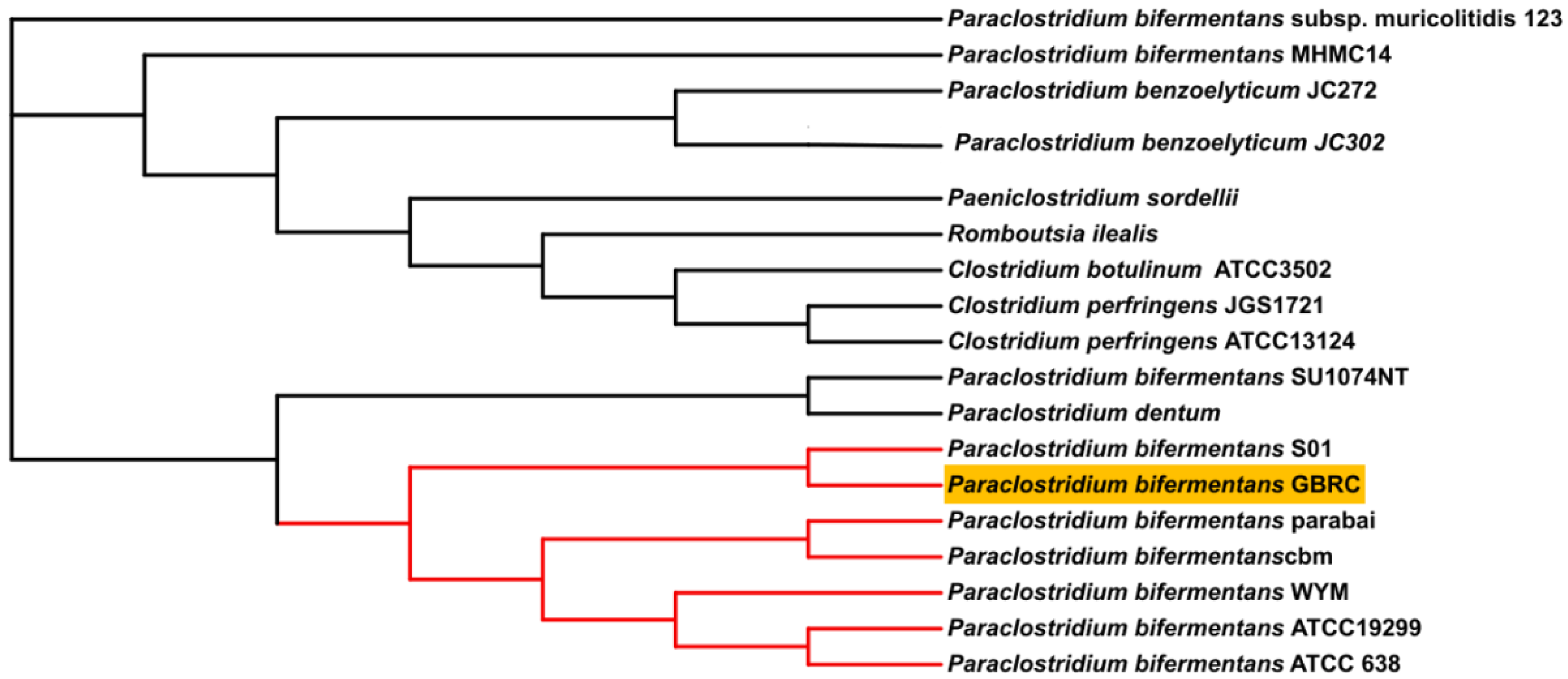 Animals 12 01765 g003