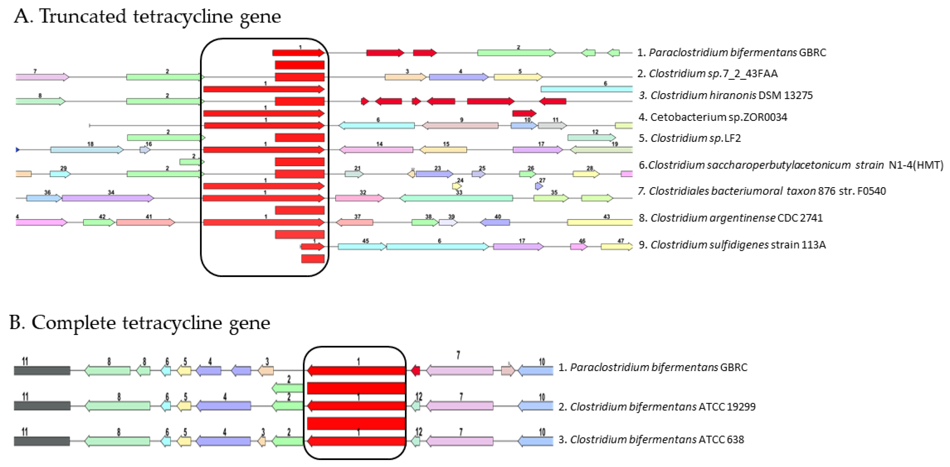 Animals 12 01765 g006