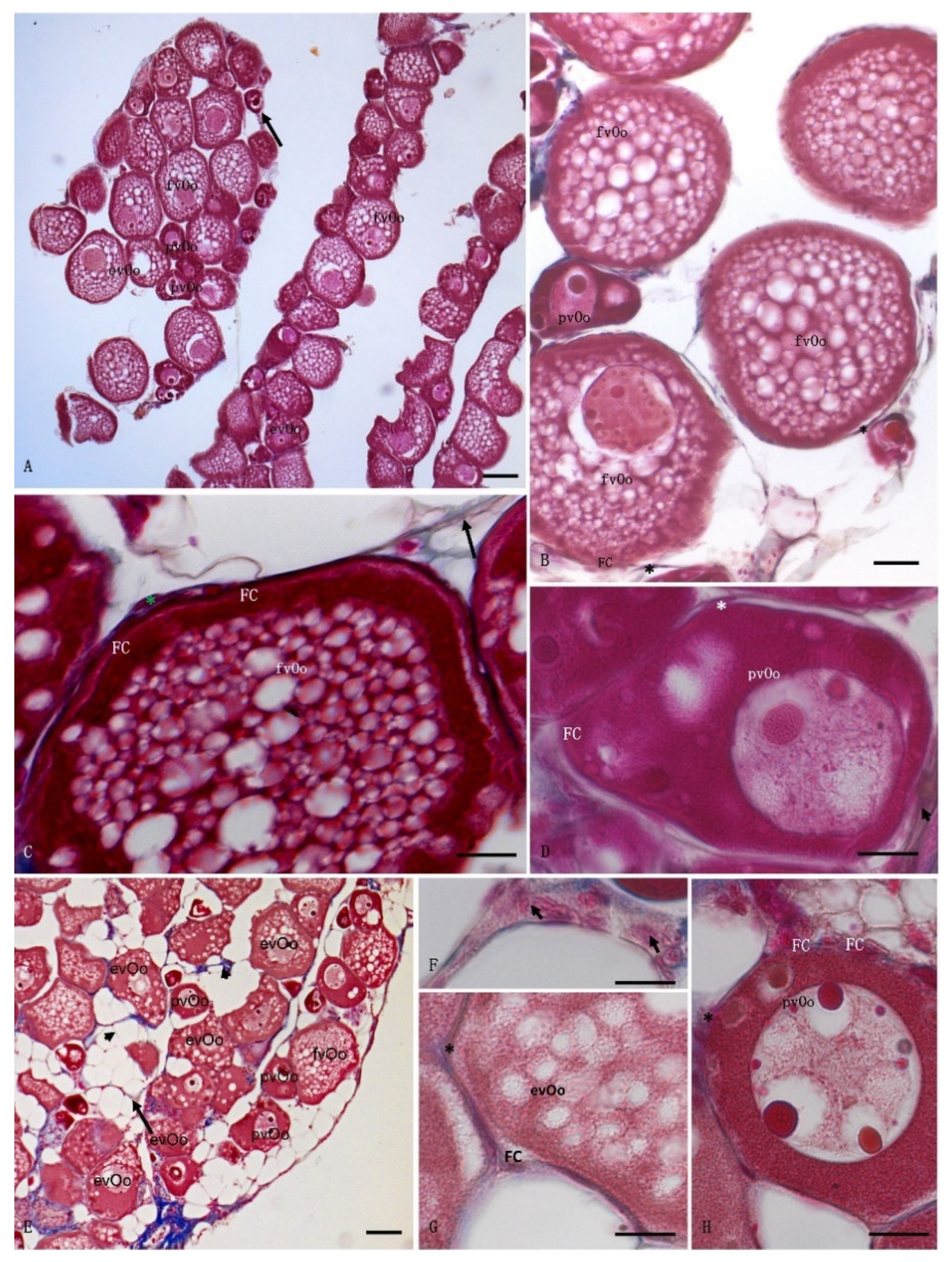 Animals 12 01766 g001