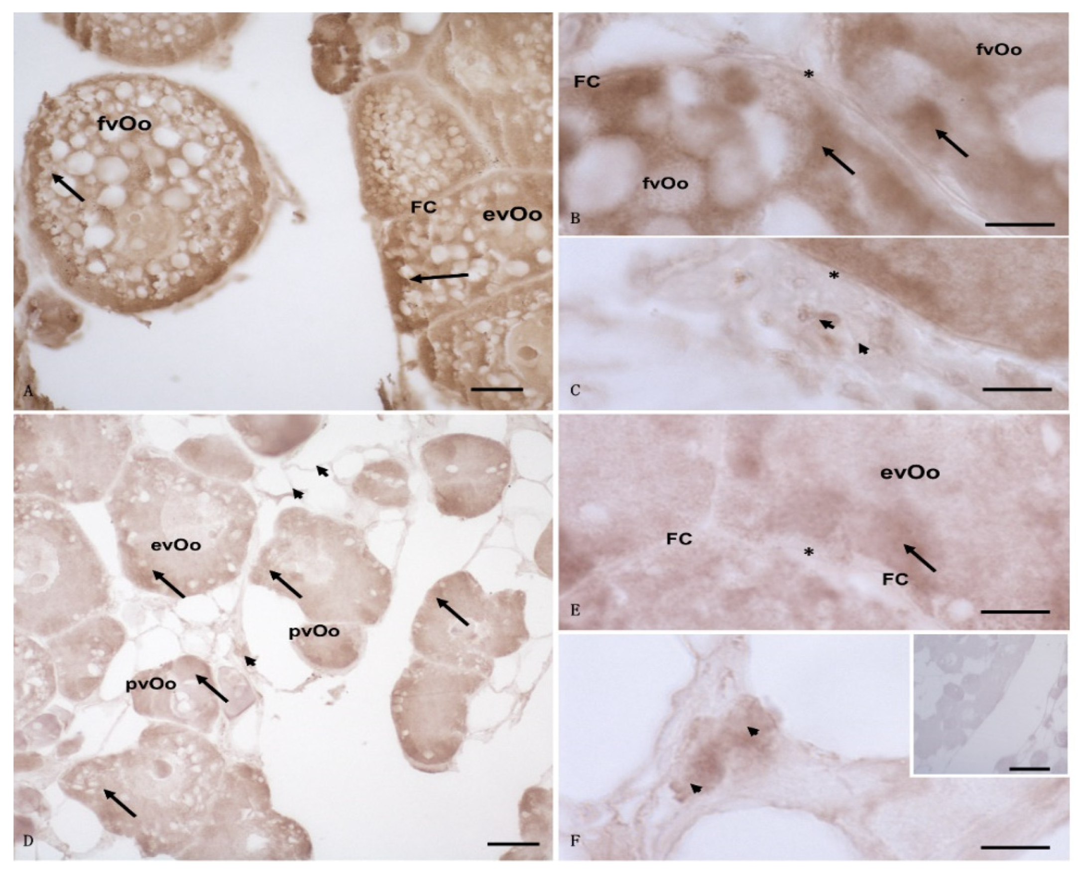 Animals 12 01766 g003