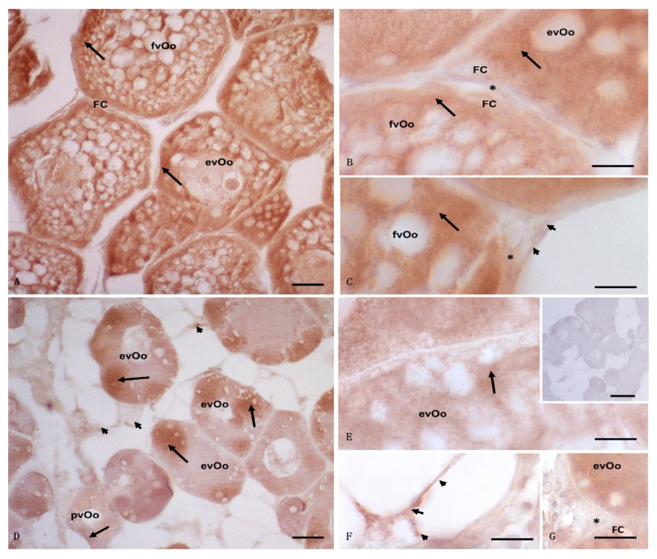Animals 12 01766 g004