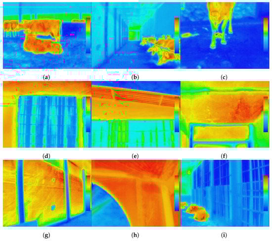 Animals 12 01776 g0a2 550
