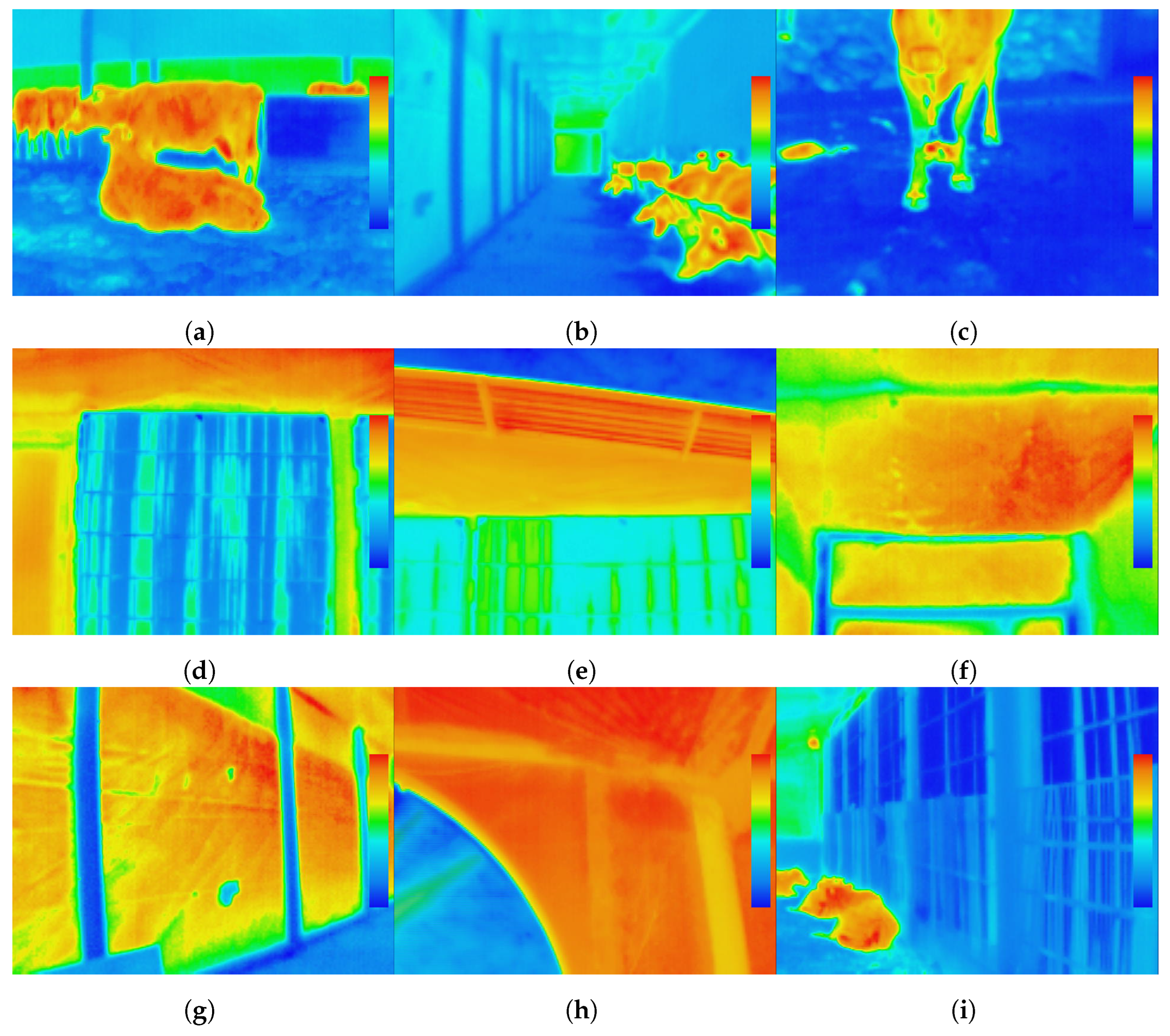 Animals 12 01776 g0a2