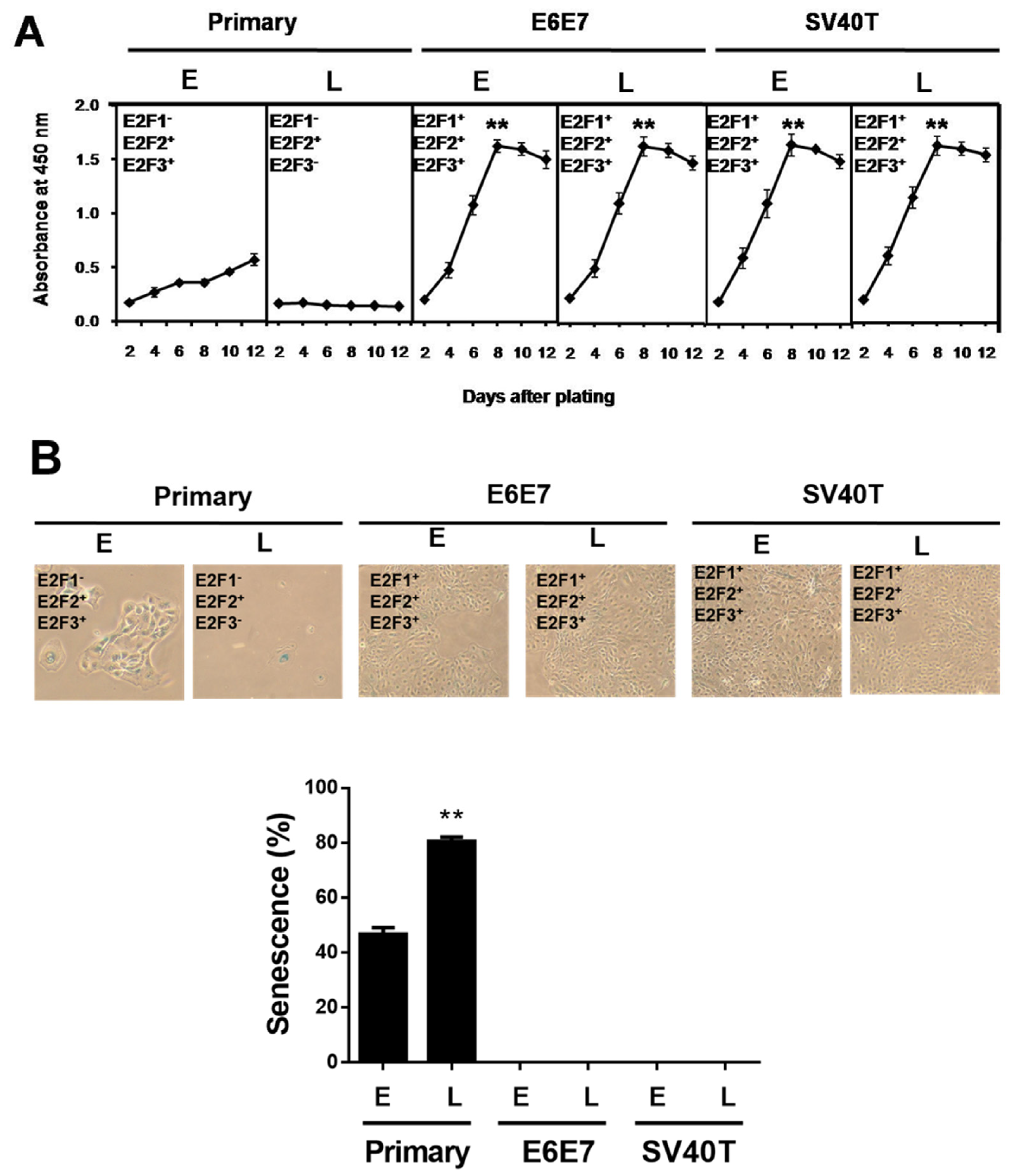 Animals 12 01790 g001