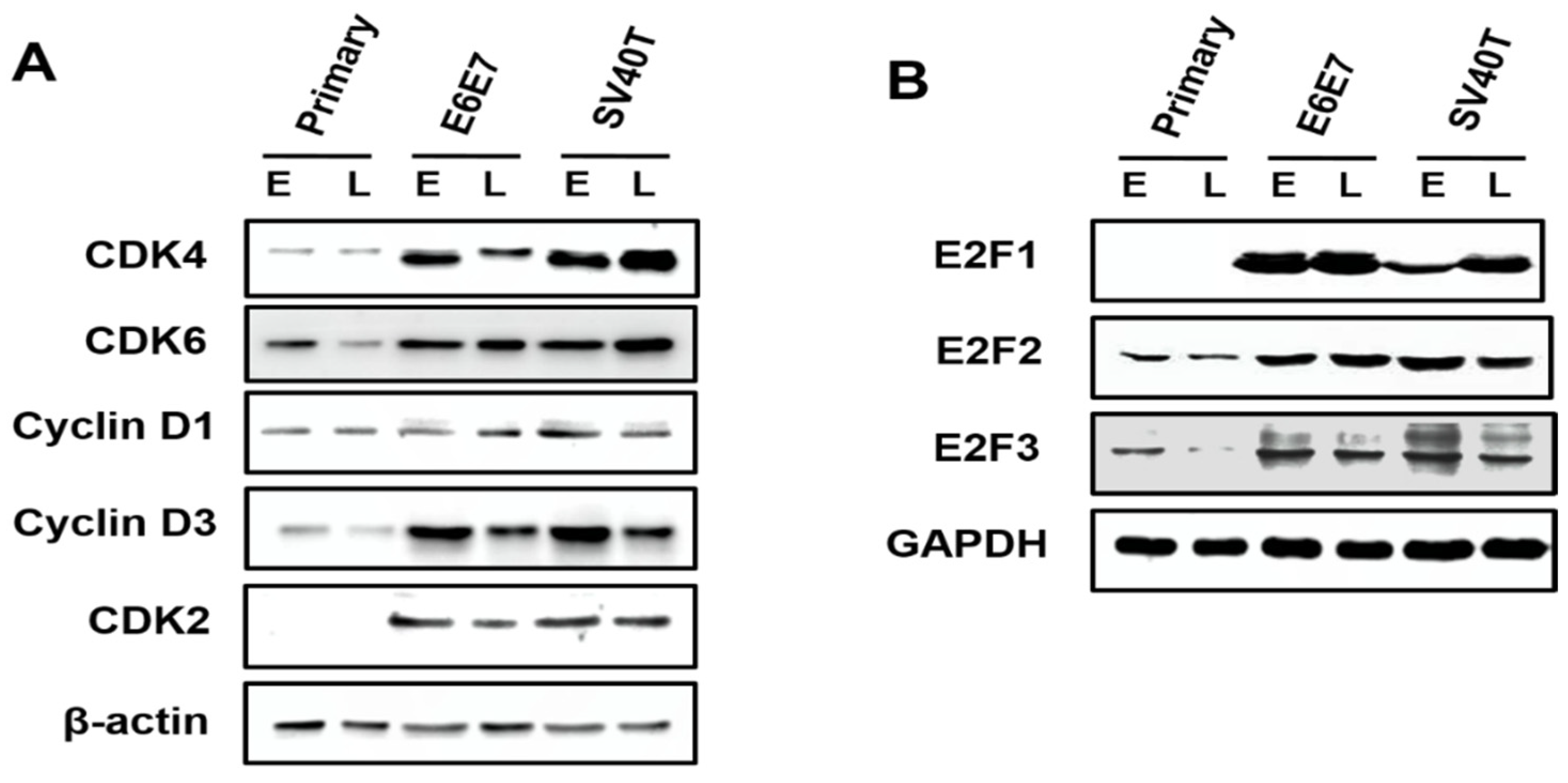 Animals 12 01790 g003